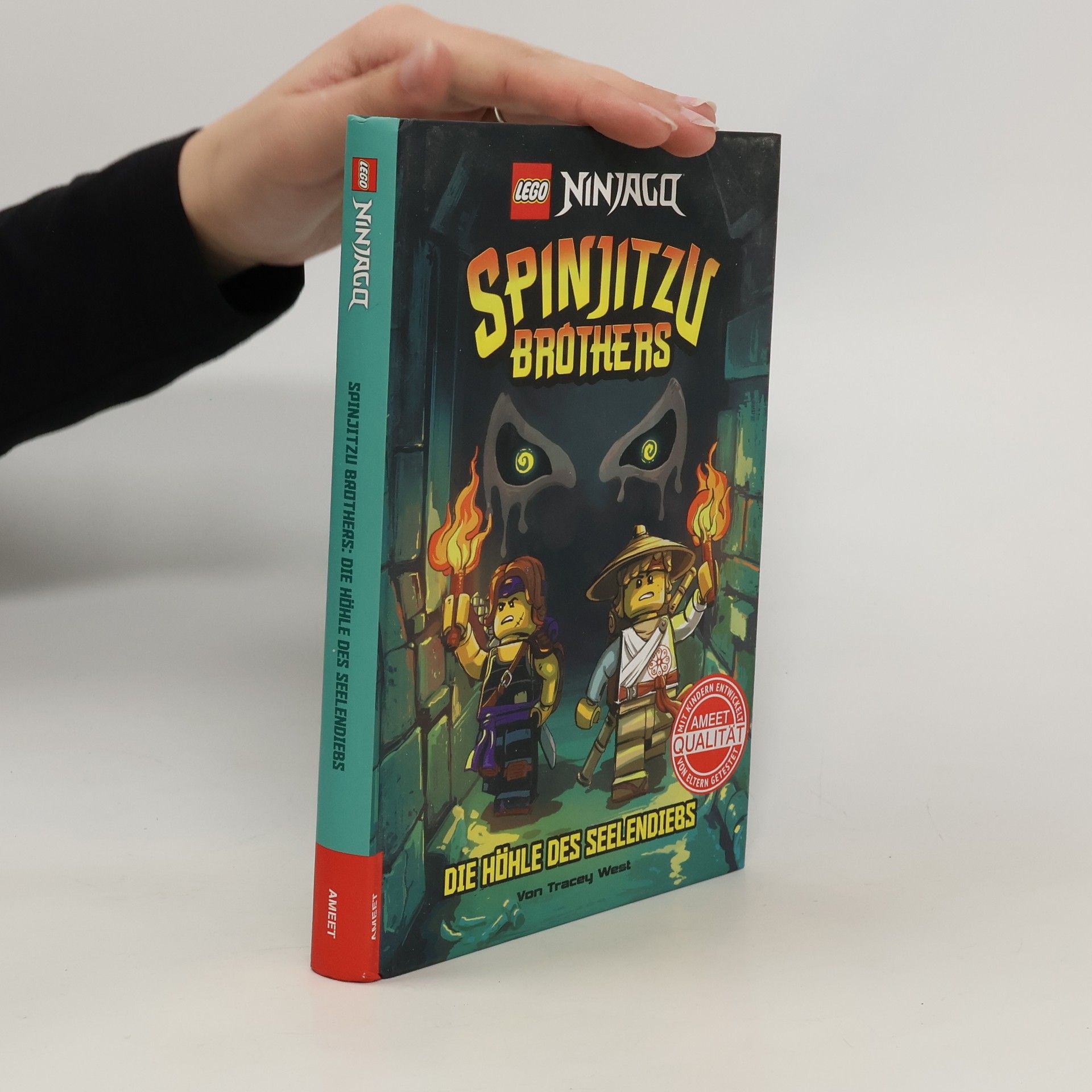 Collectif d'auteurs Spinjitzu Brothers. Die Höhle des Seelendiebs