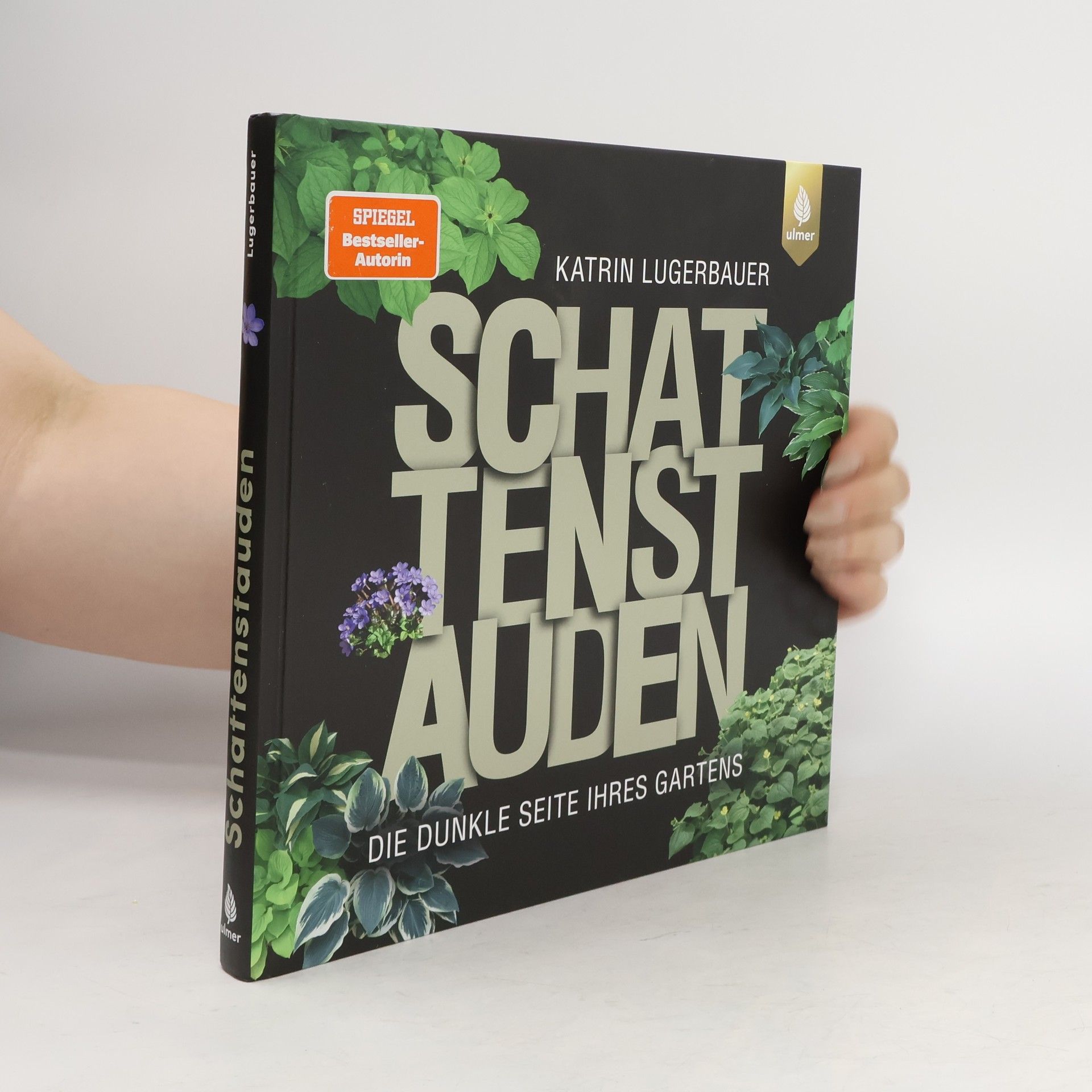 Katrin Lugerbauer Schattenstauden