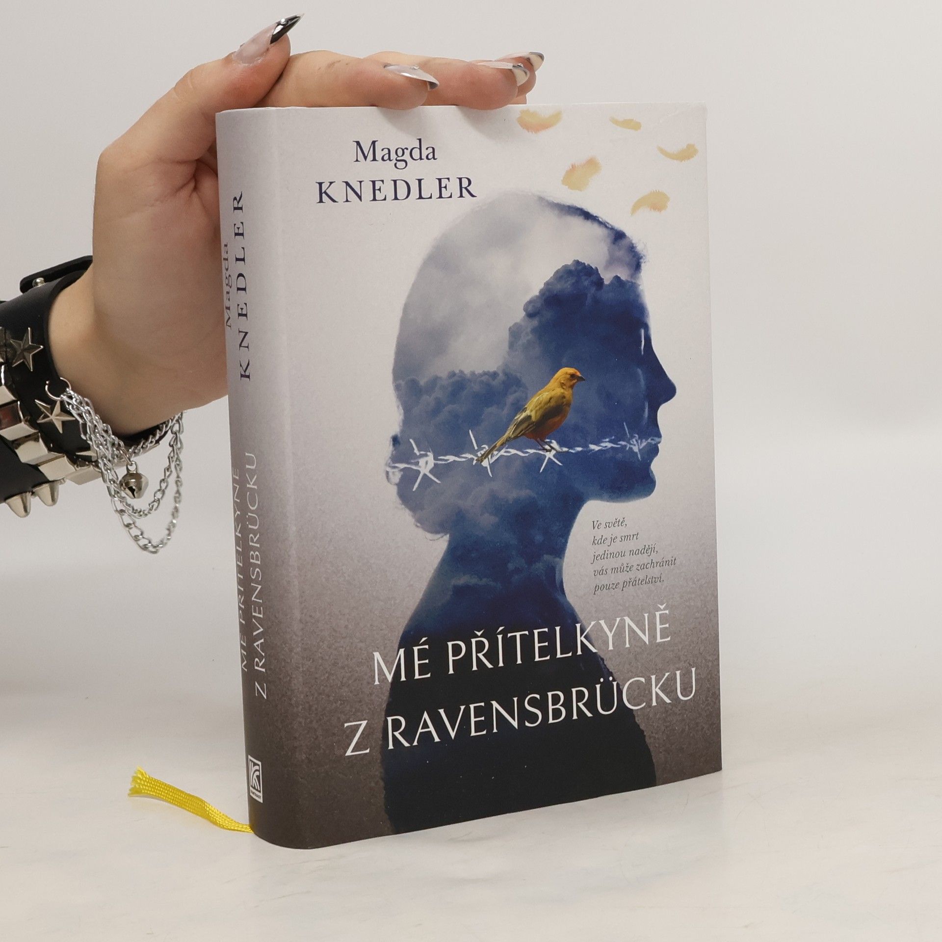 Magdalena Knedler Mé přítelkyně z Ravensbrücku