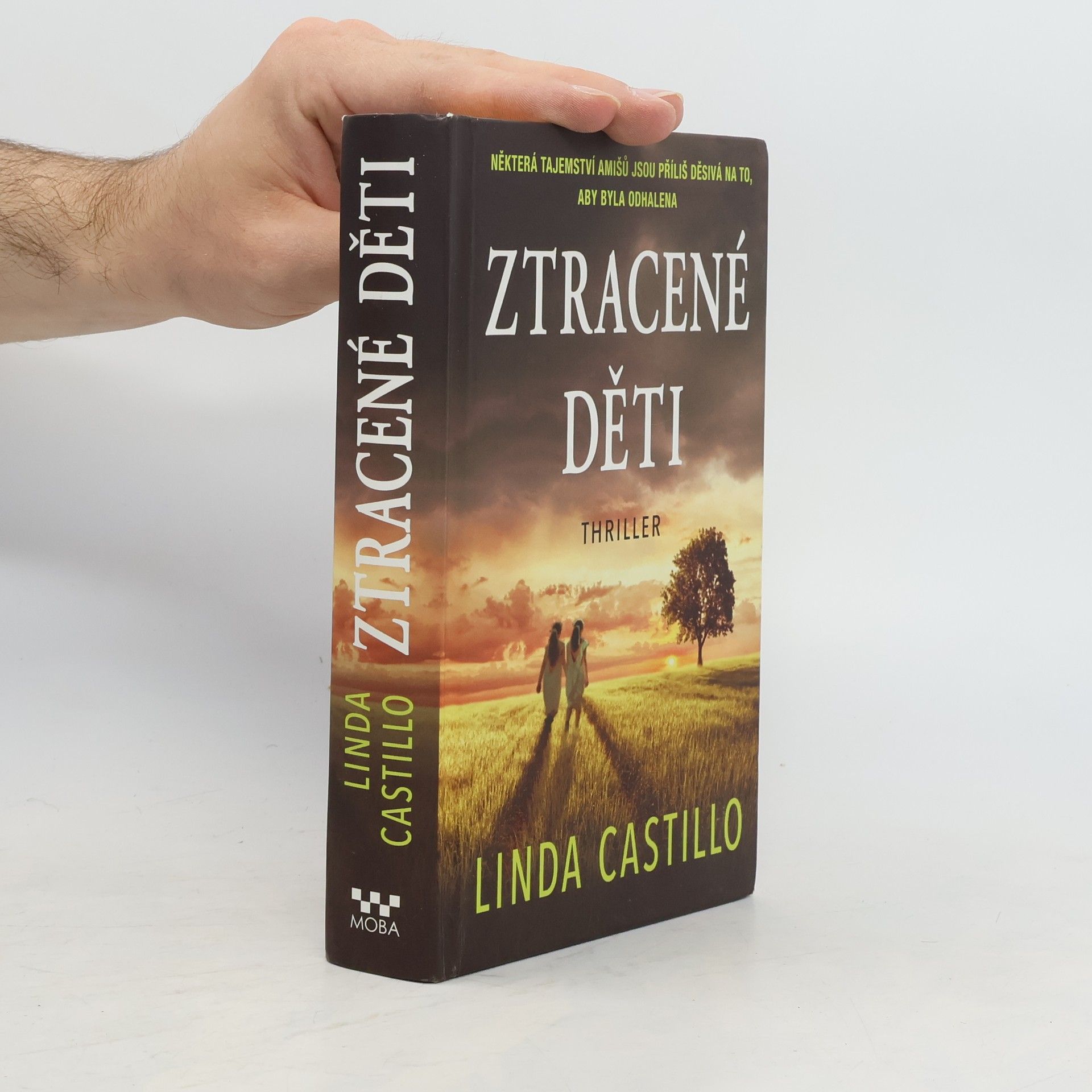 Linda Castillo Ztracené děti