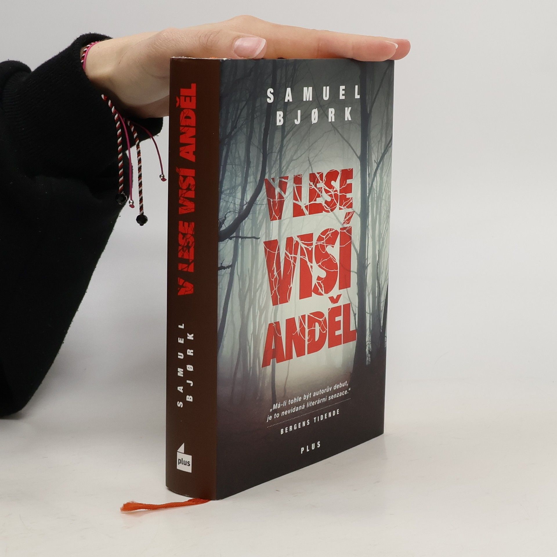 Samuel Bjork V lese visí anděl
