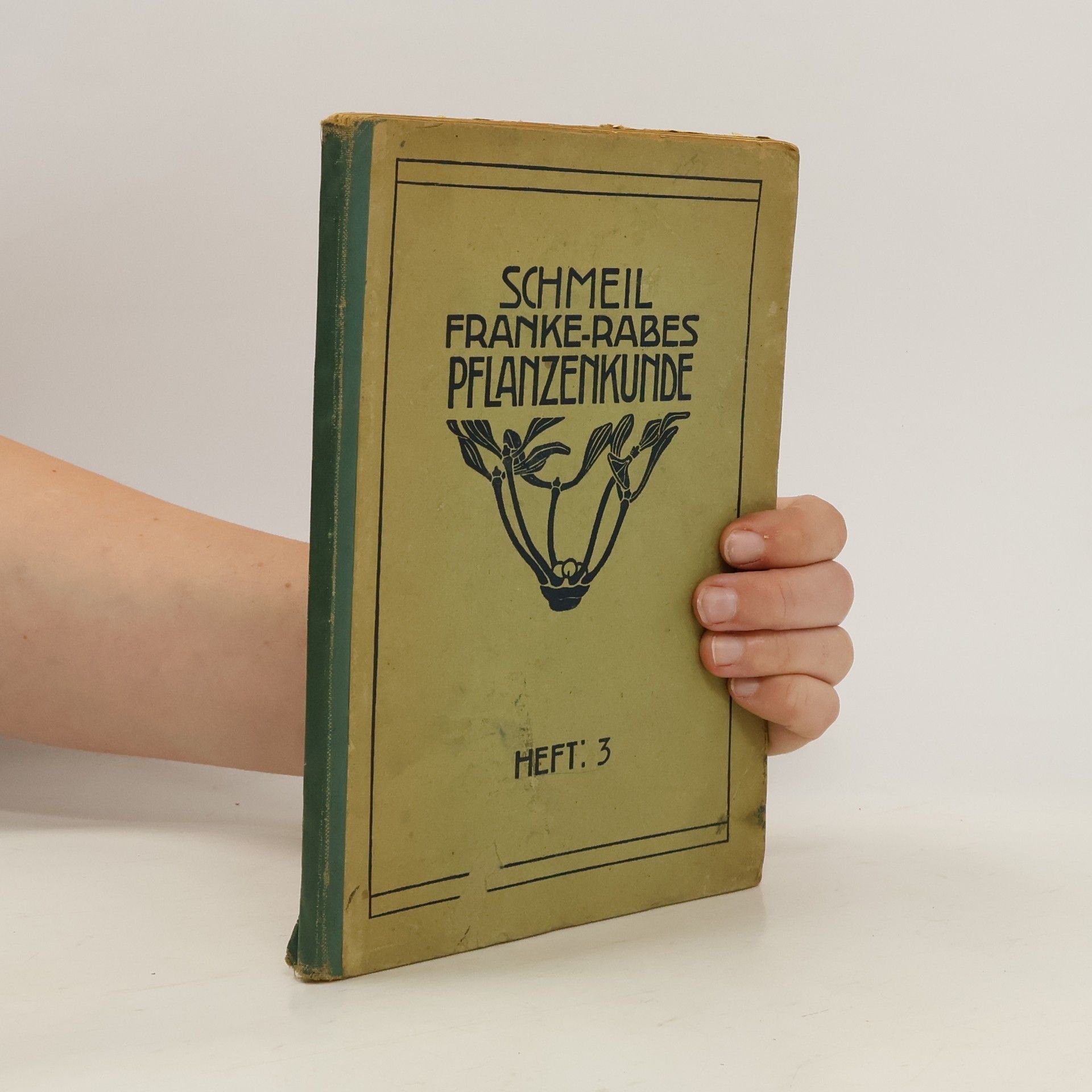 Schmeil Franke-Rabes Pflanzenkunde, Heft 3