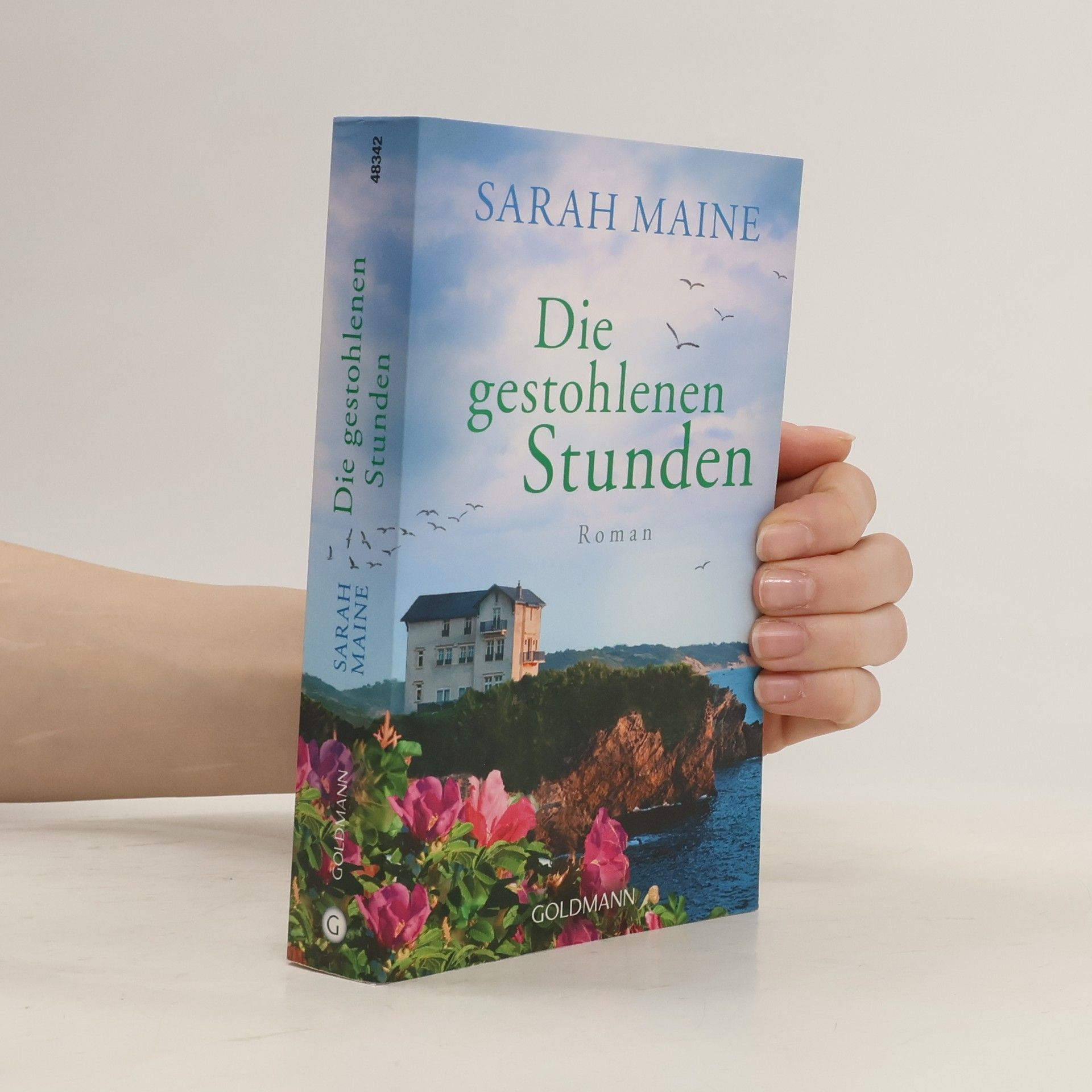 Sarah Maine Die gestohlenen Stunden