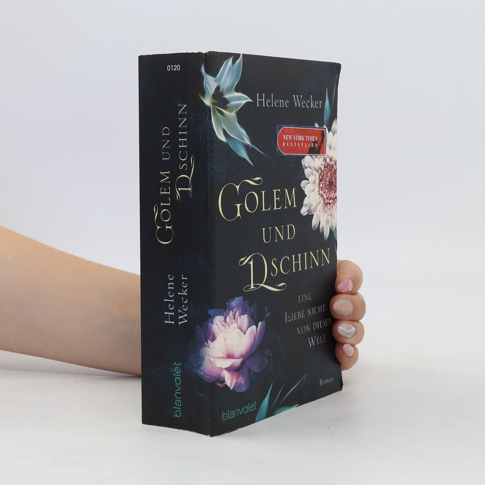 Helene Wecker Golem und Dschinn