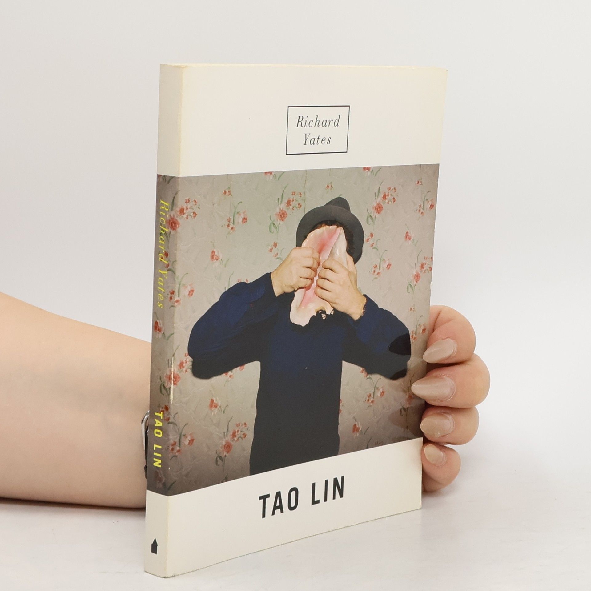 Tao Lin Richard Yates, English Edition