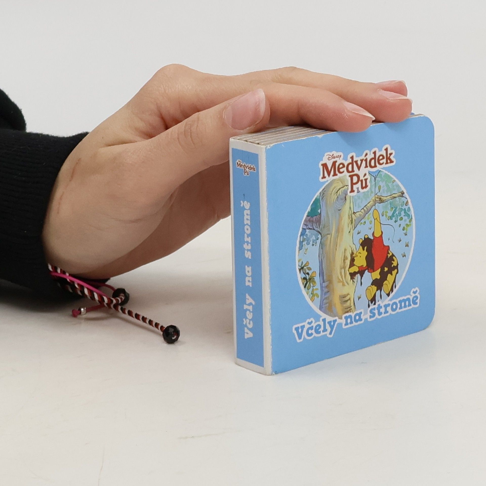 Autorenkollektiv Medvídek Pú. Včely na stromě