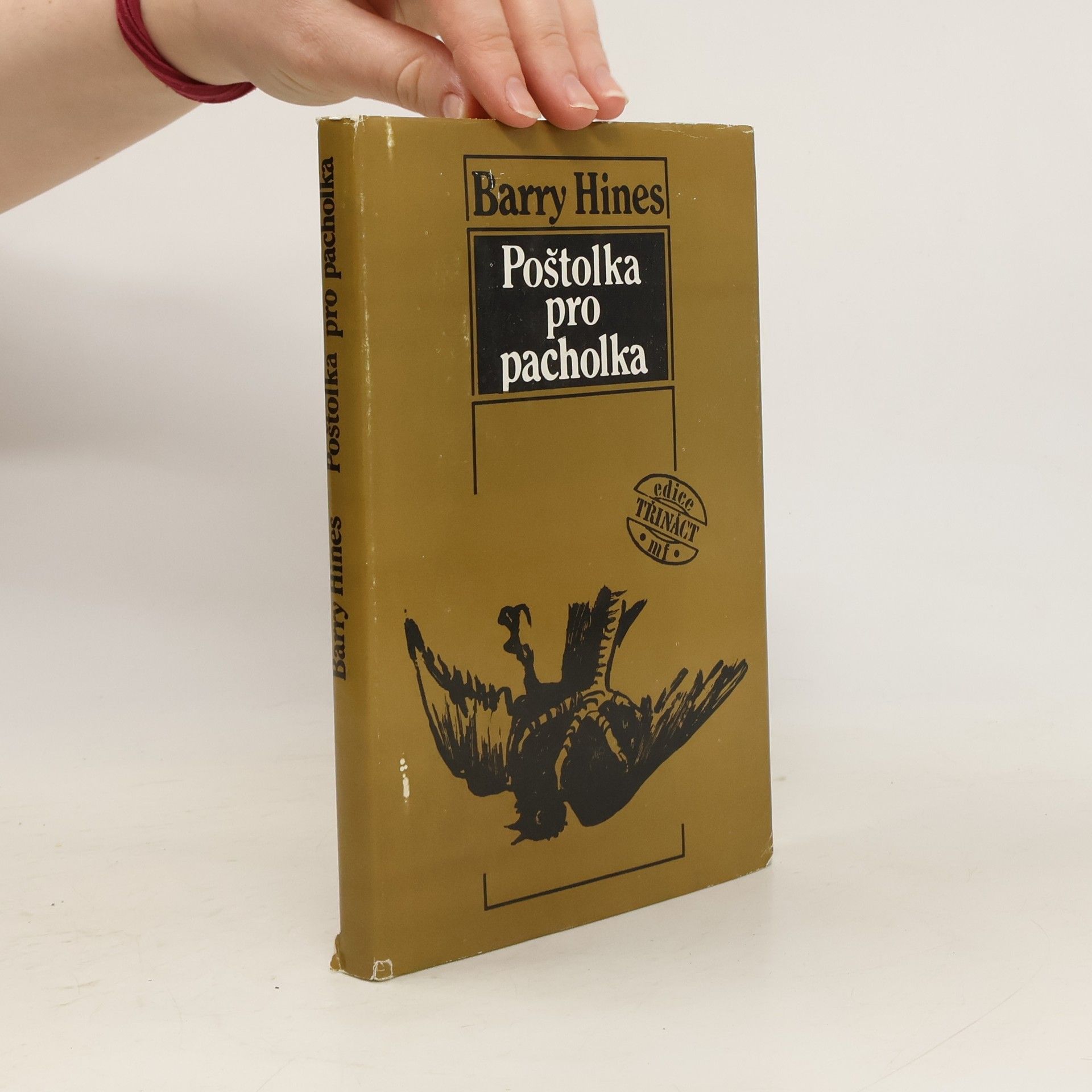 Barry Hines Poštolka pro pacholka