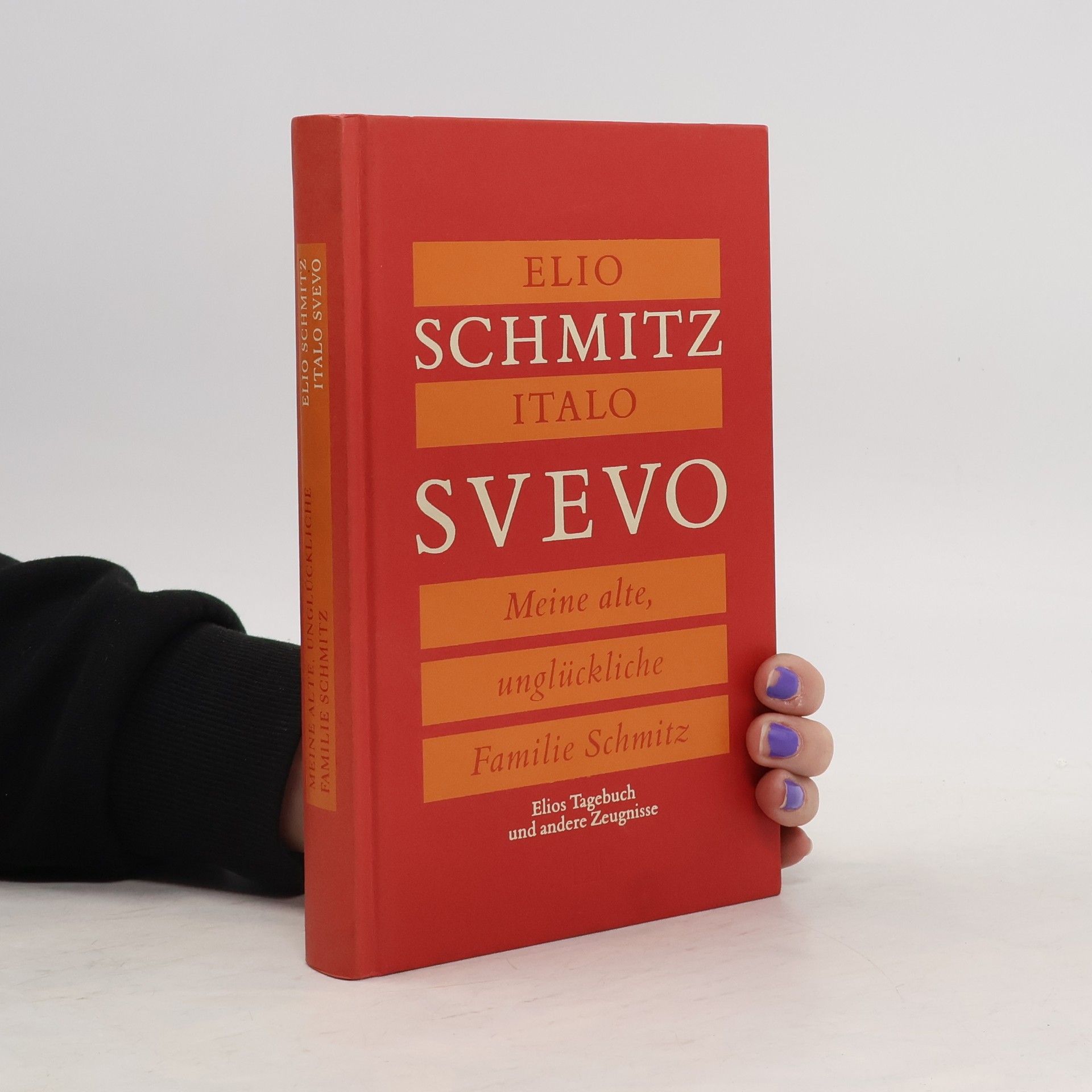 Italo Svevo Meine alte, unglückliche Familie Schmitz