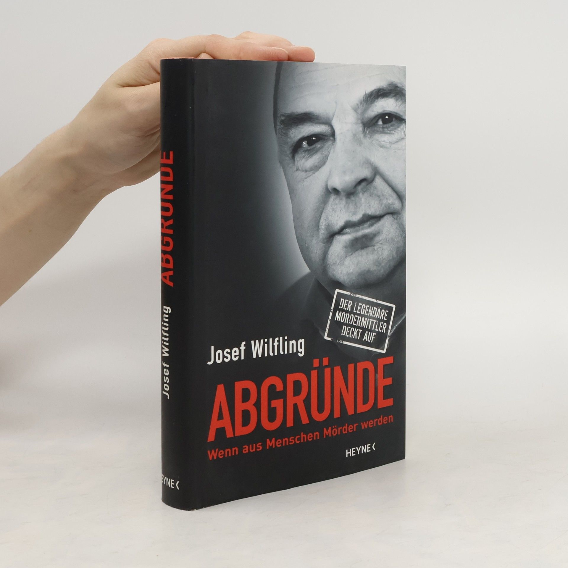 Josef Wilfling Abgründe
