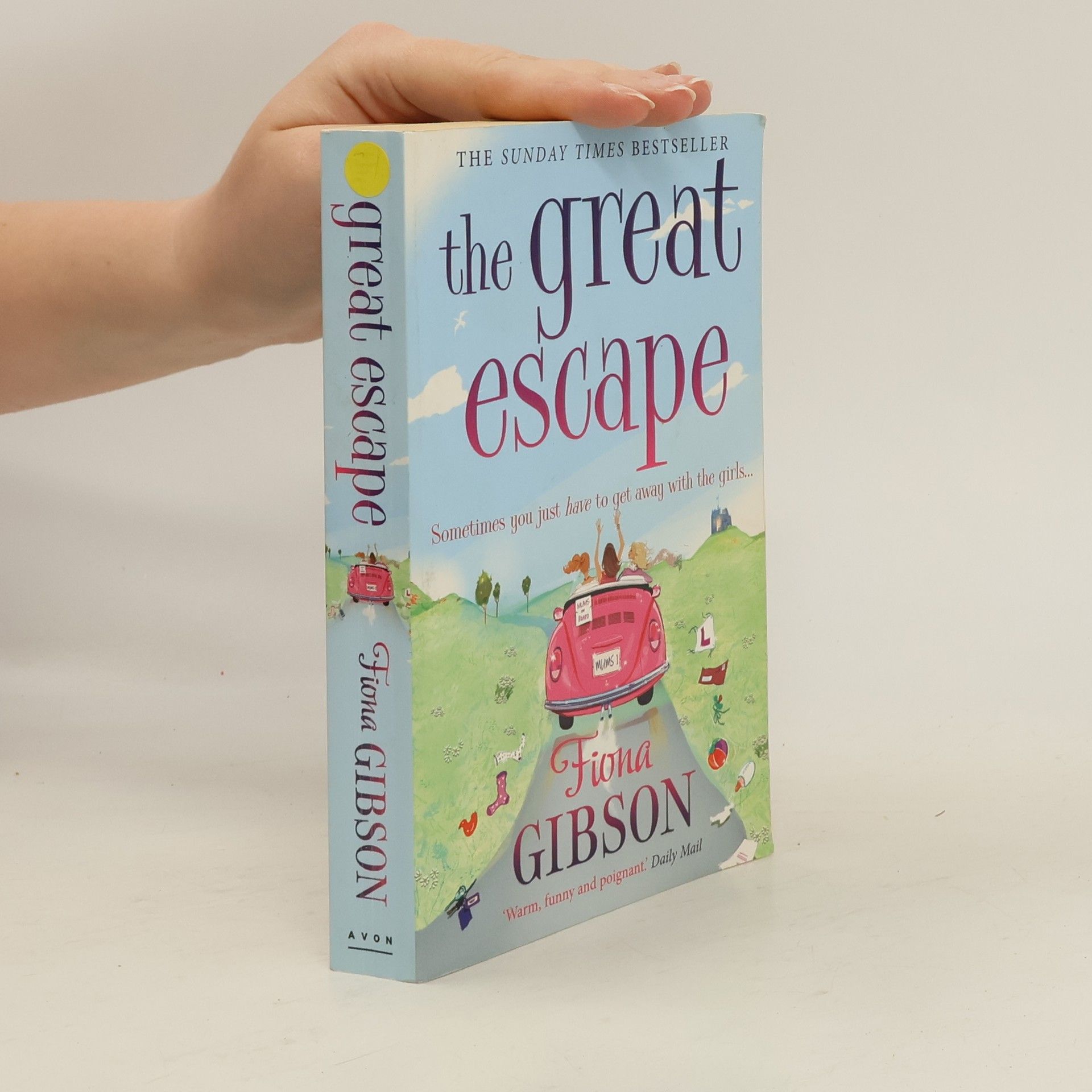 Fiona Gibson The Great Escape