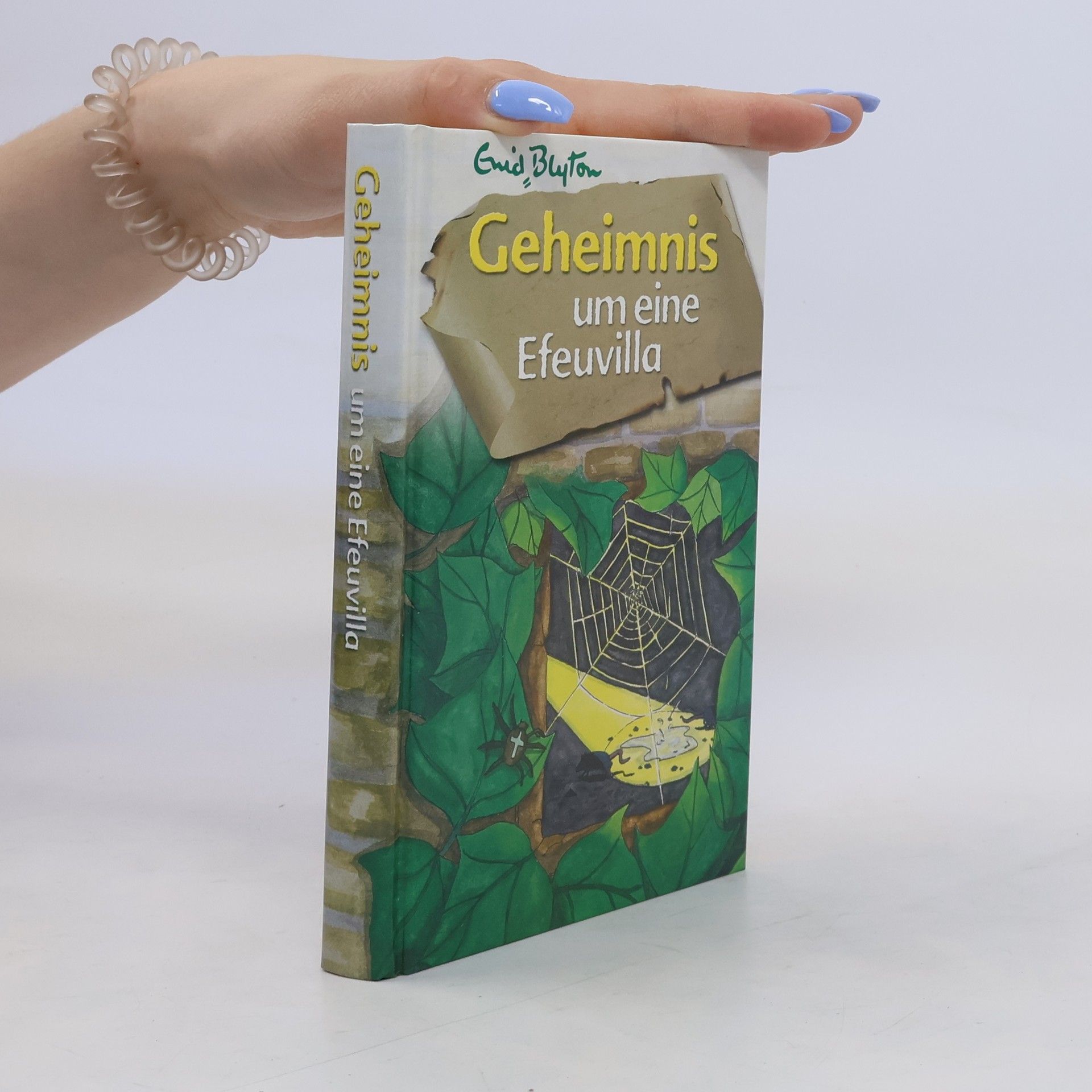 Enid Blyton Geheimnis um eine Efeuvilla