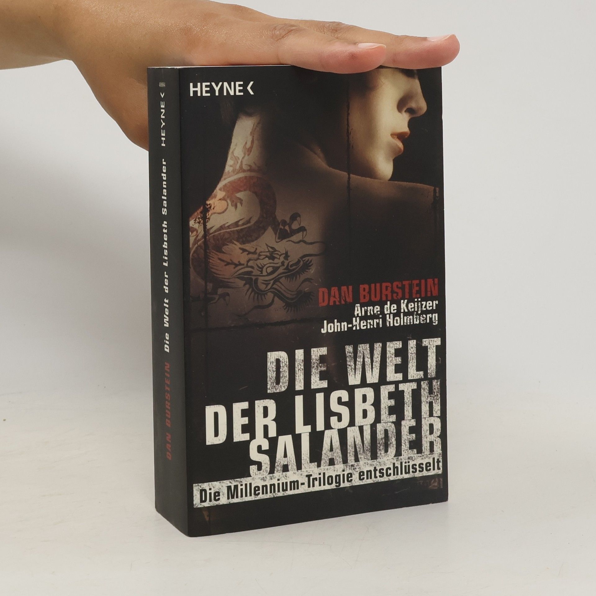 Dan Burstein Die Welt der Lisbeth Salander