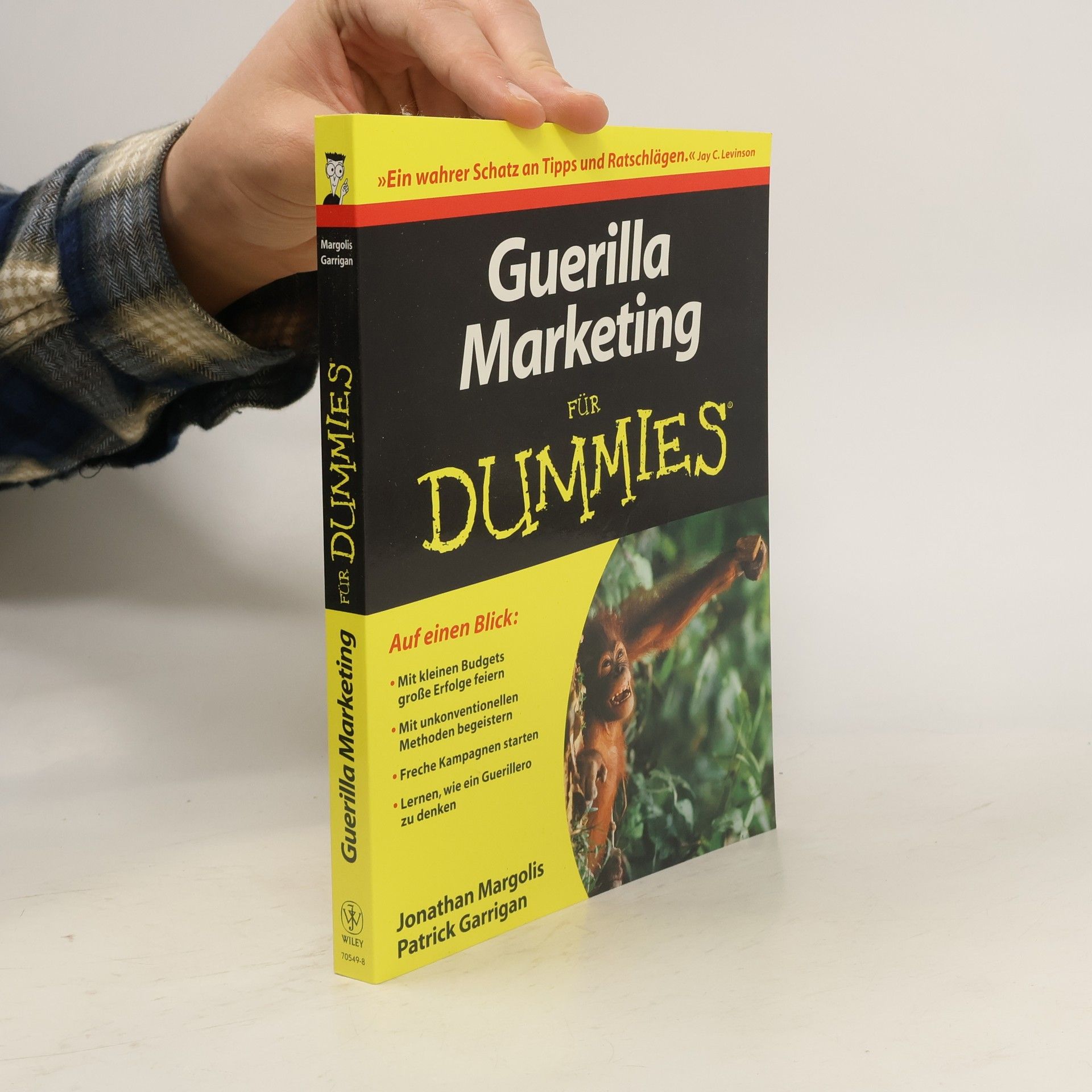 Jonathan Margolis Guerilla Marketing für Dummies