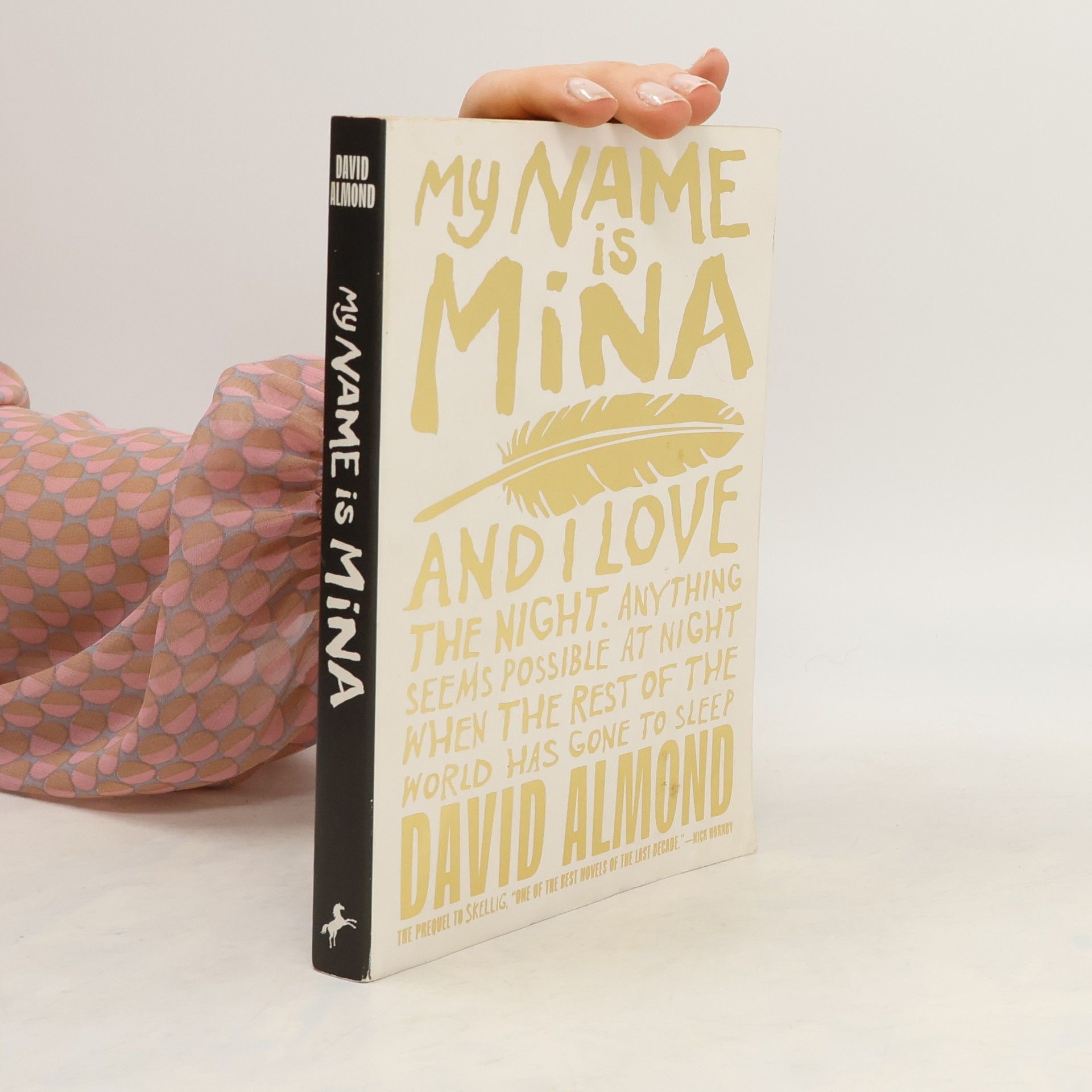 David Almond My Name Is Mina