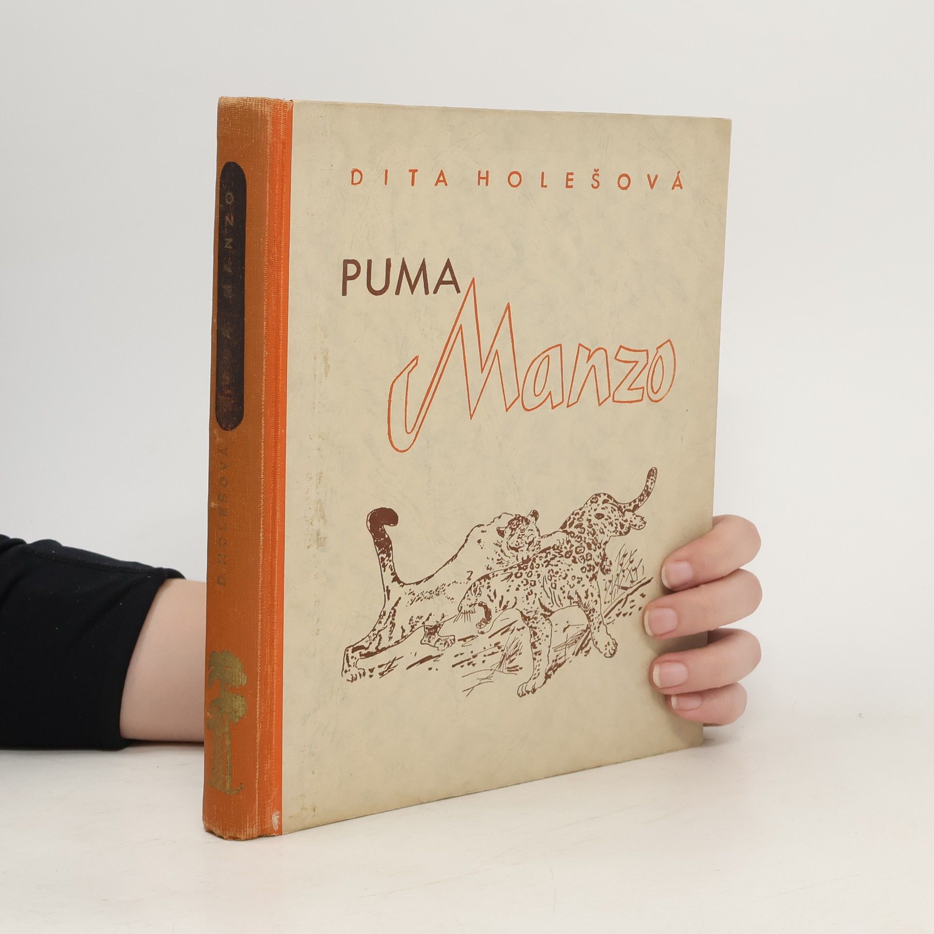 Dita Holešová Puma Manzo