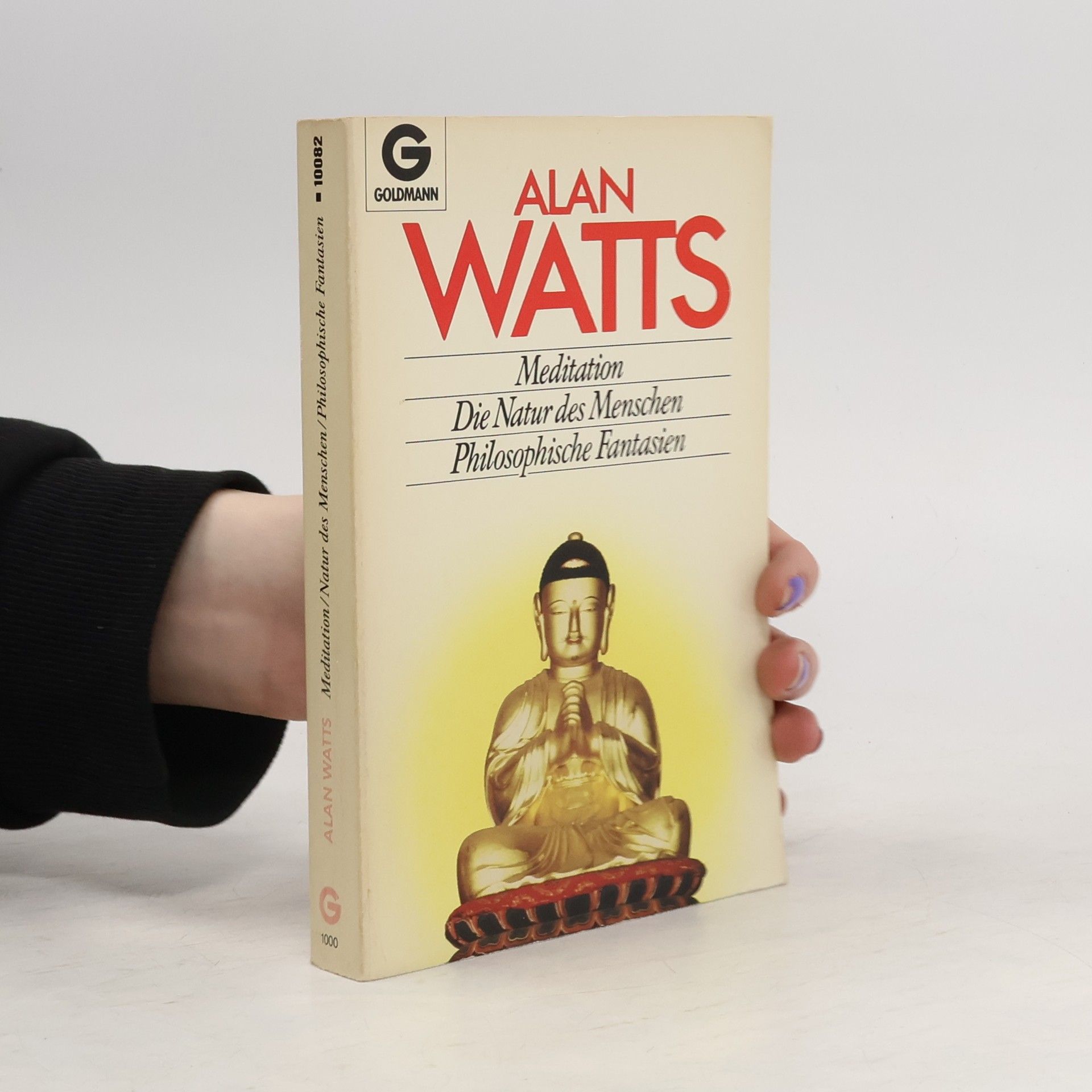 Alan Watts Meditation