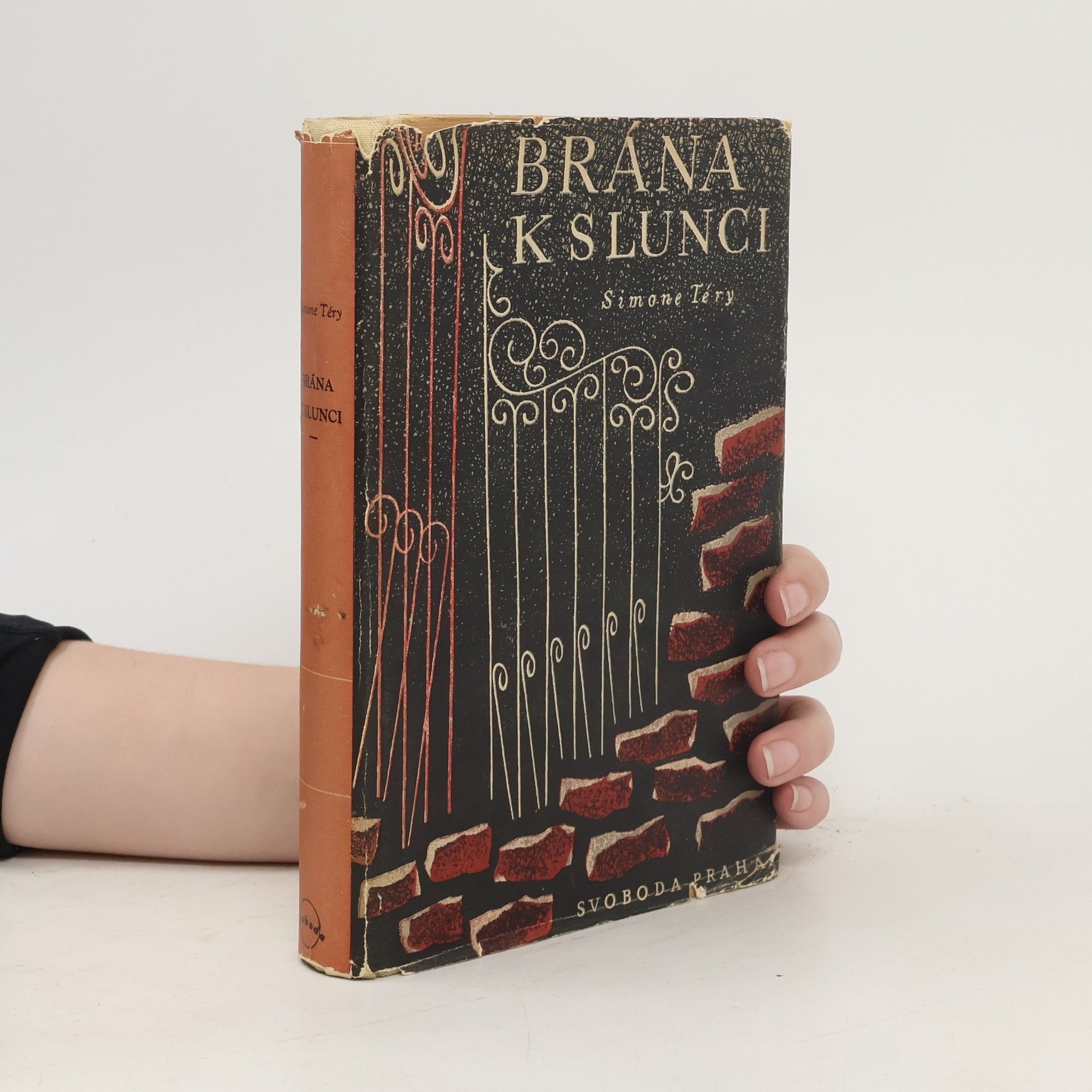 Simone Téry Brána k slunci