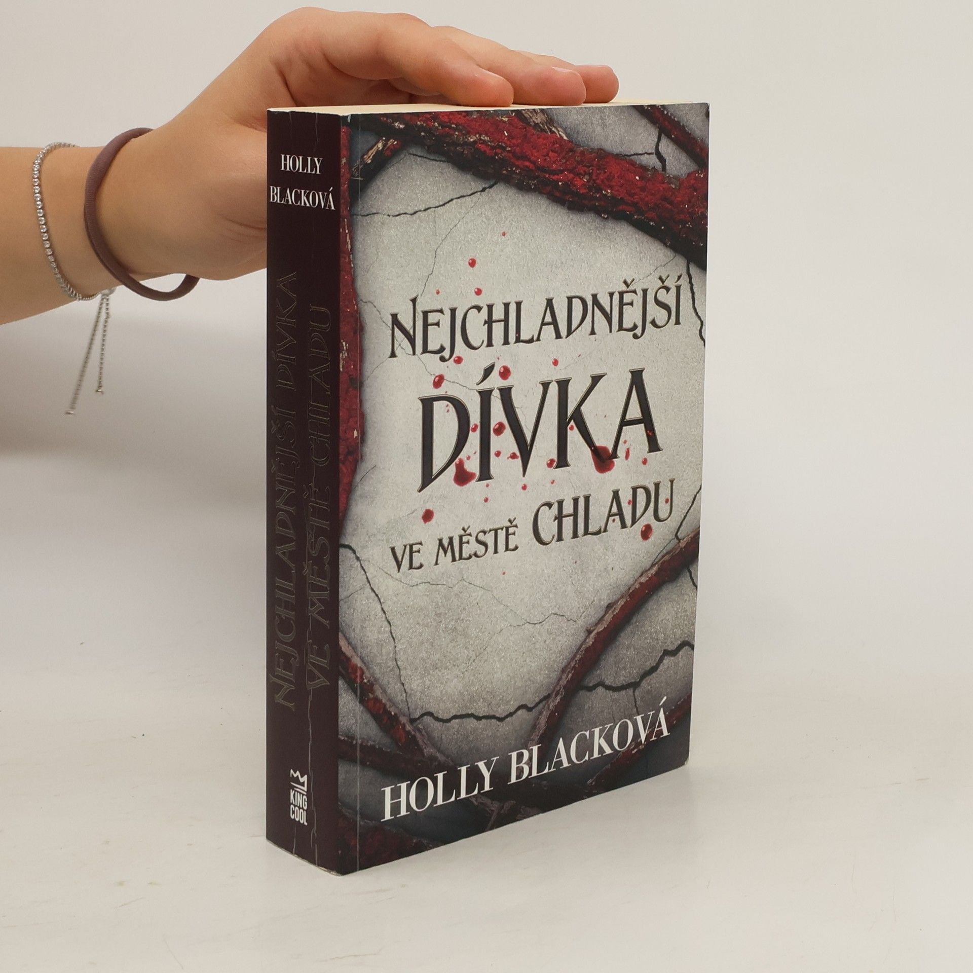 Holly Black Nejchladnější dívka ve městě chladu