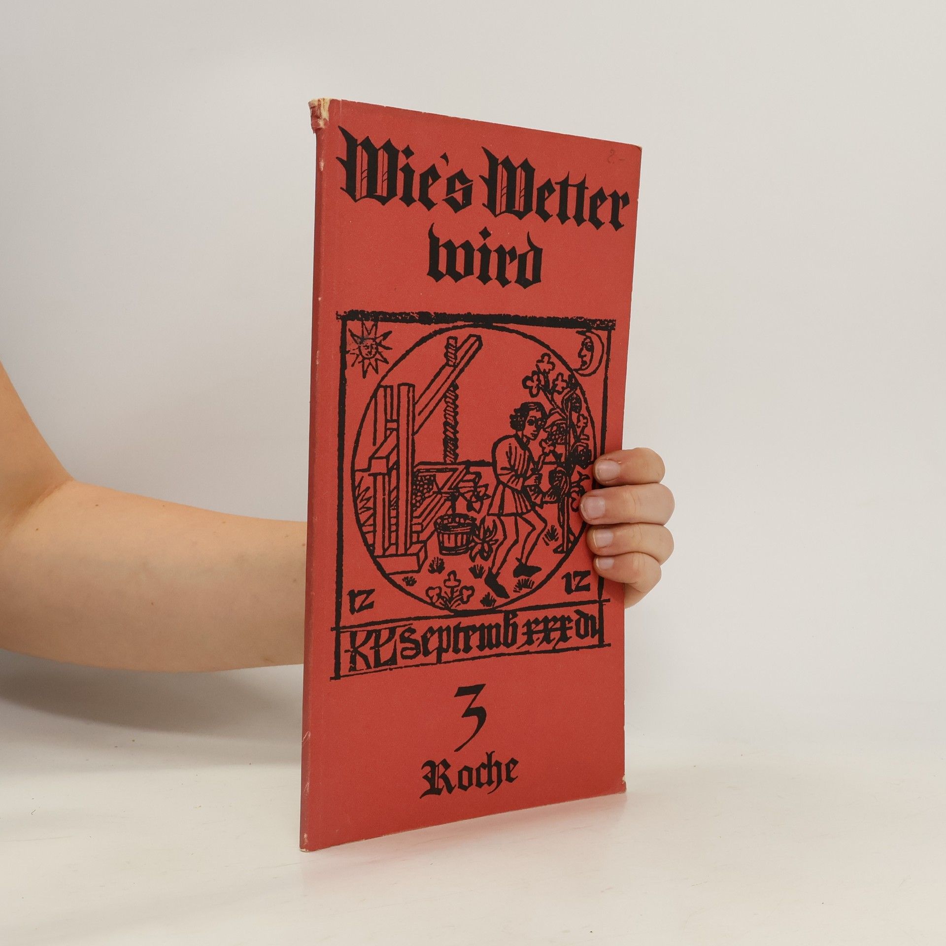 Collectif d'auteurs Wie´s  Wetter Wird 3