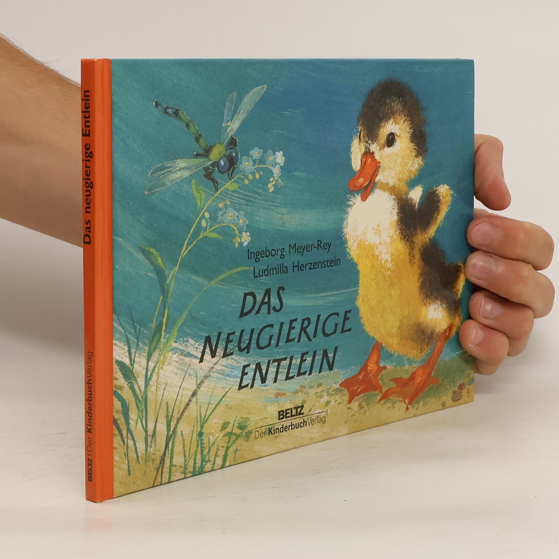 Ingeborg Meyer-Rey Das neugierige Entlein