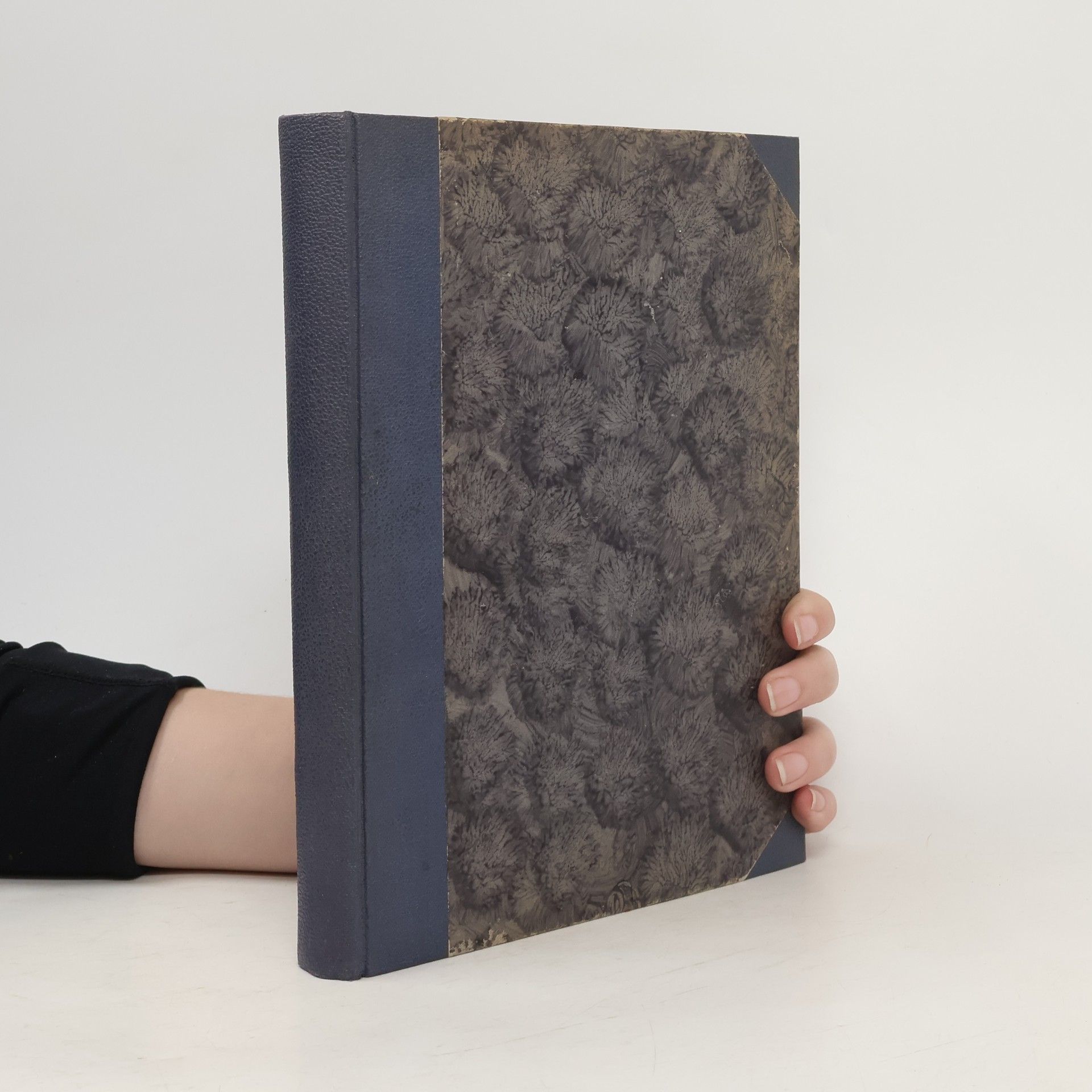 Autorenkollektiv Česká dívka III.