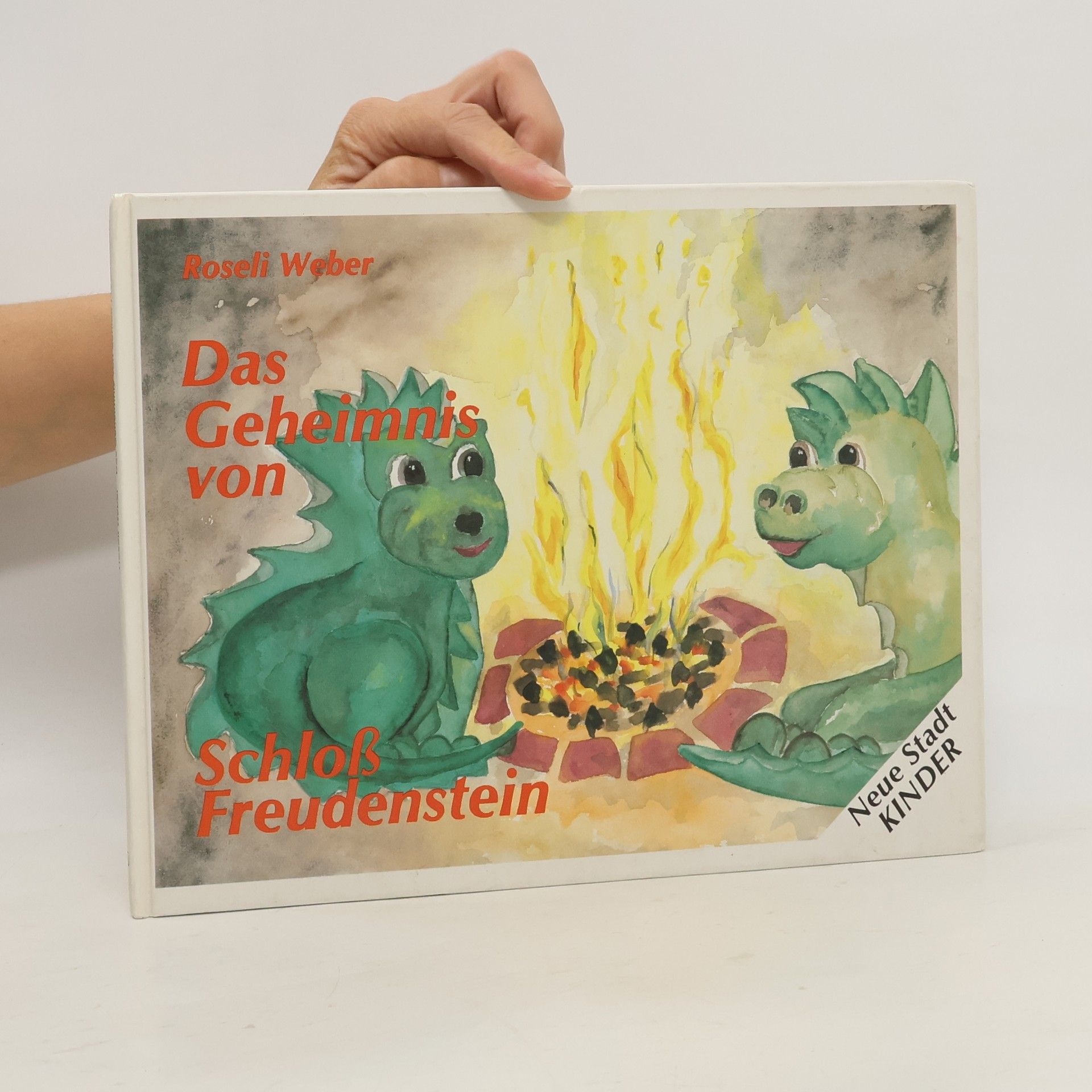 Roseli Weber Das Geheimnis von Schloss Freudenstein