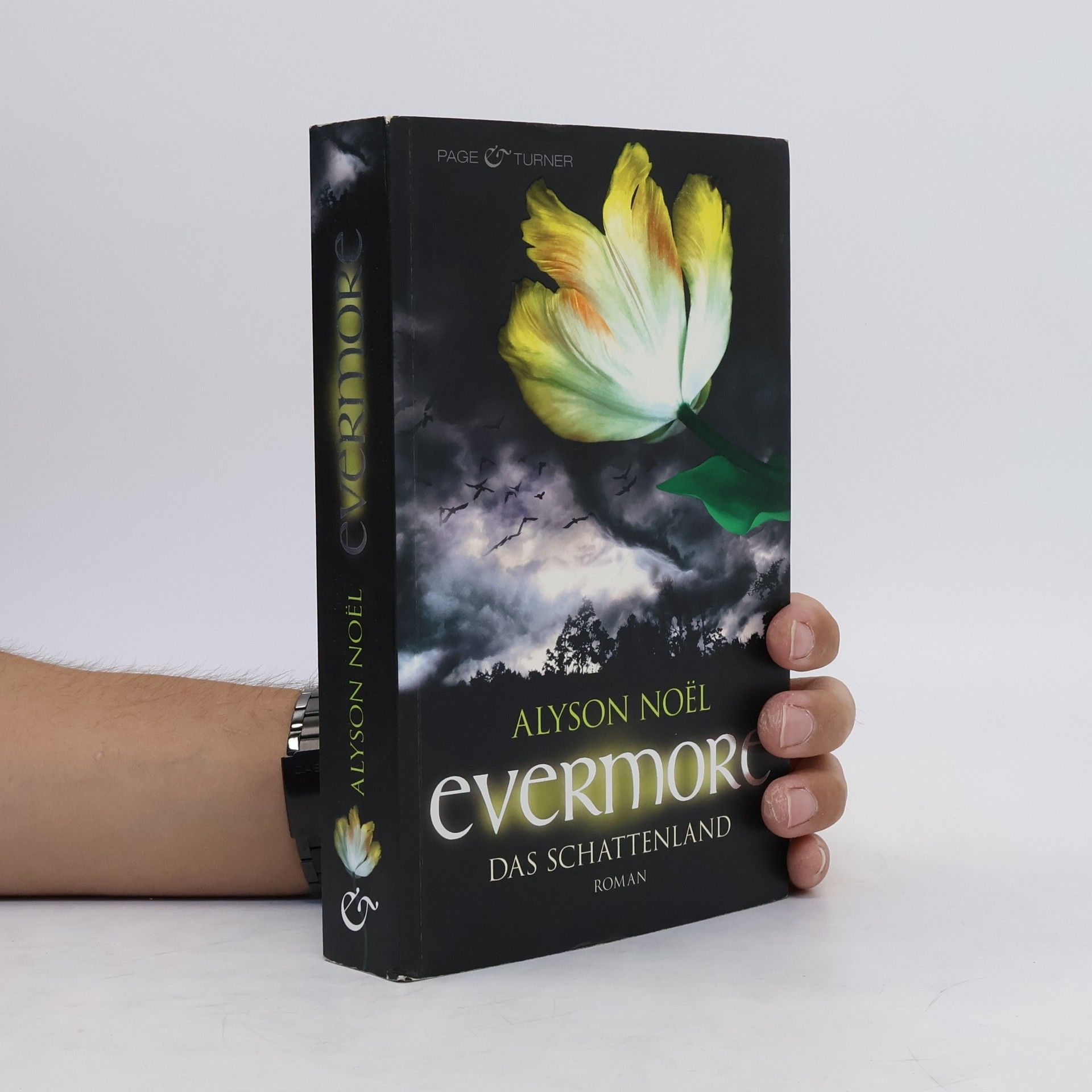 Alyson Noël Evermore: Das Schattenland