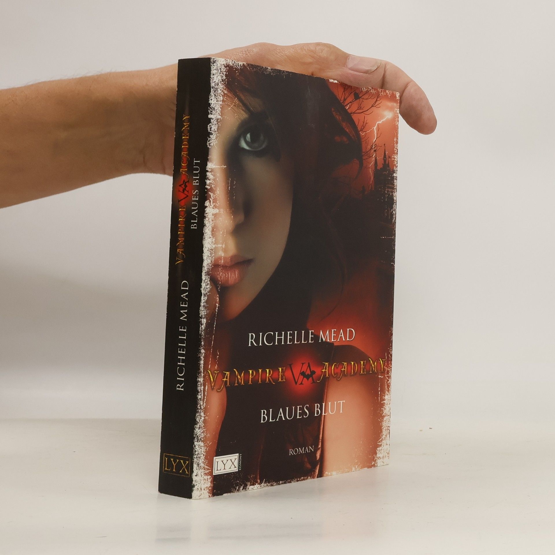 Vampire Academy. Blaues Blut