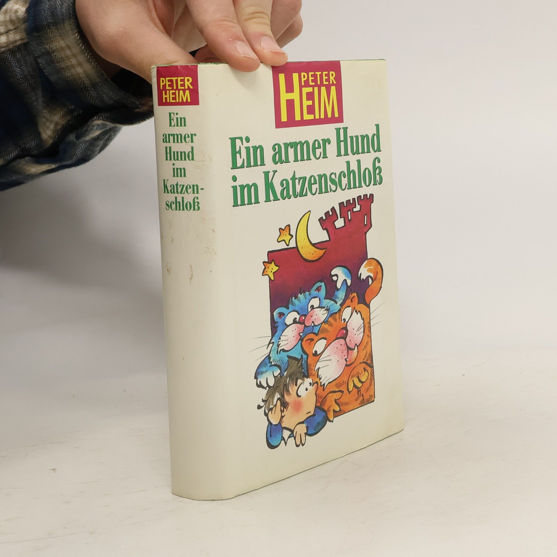 Hans-Peter Heim Ein armer Hund im Katzenschloß