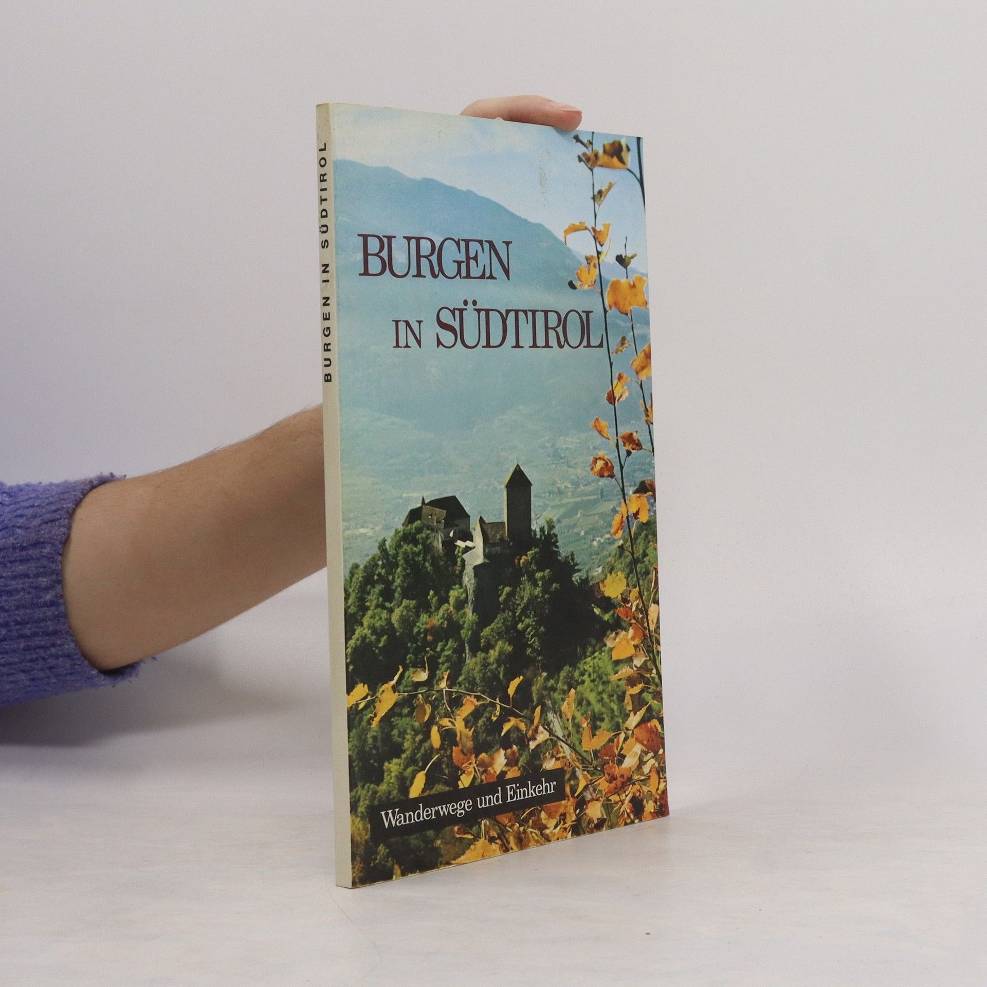 Autorenkollektiv Burgen in Südtirol