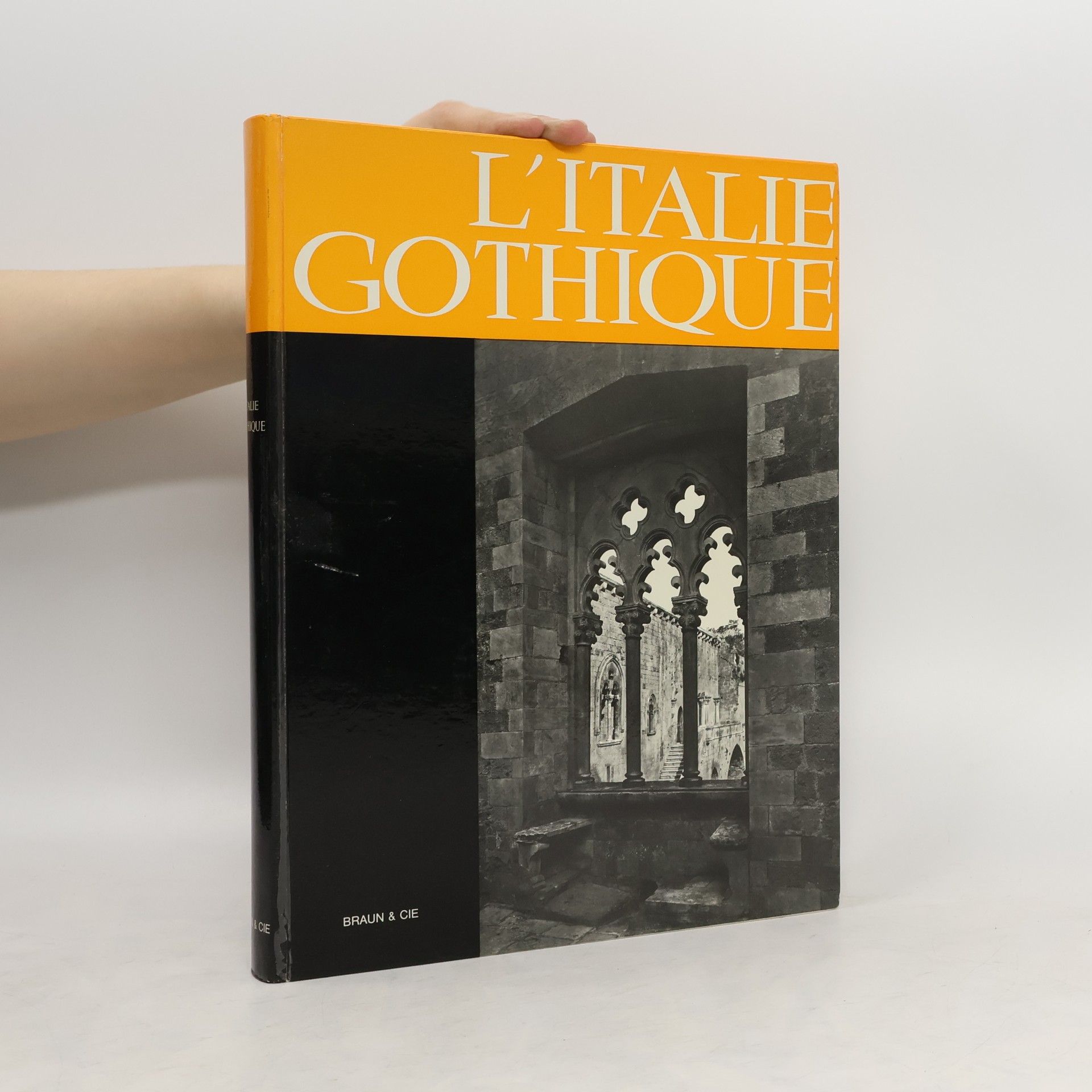 Collectif d'auteurs L'Italie Gothique