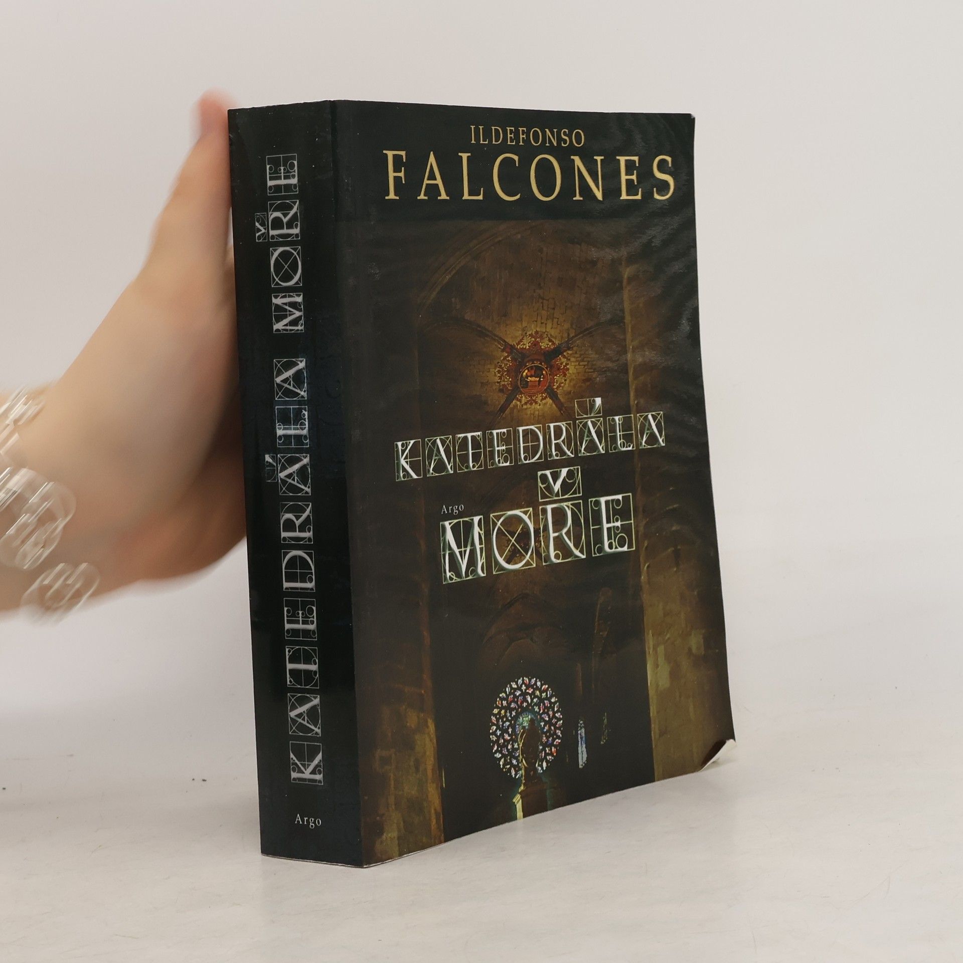 Ildefonso Falcones Katedrála moře