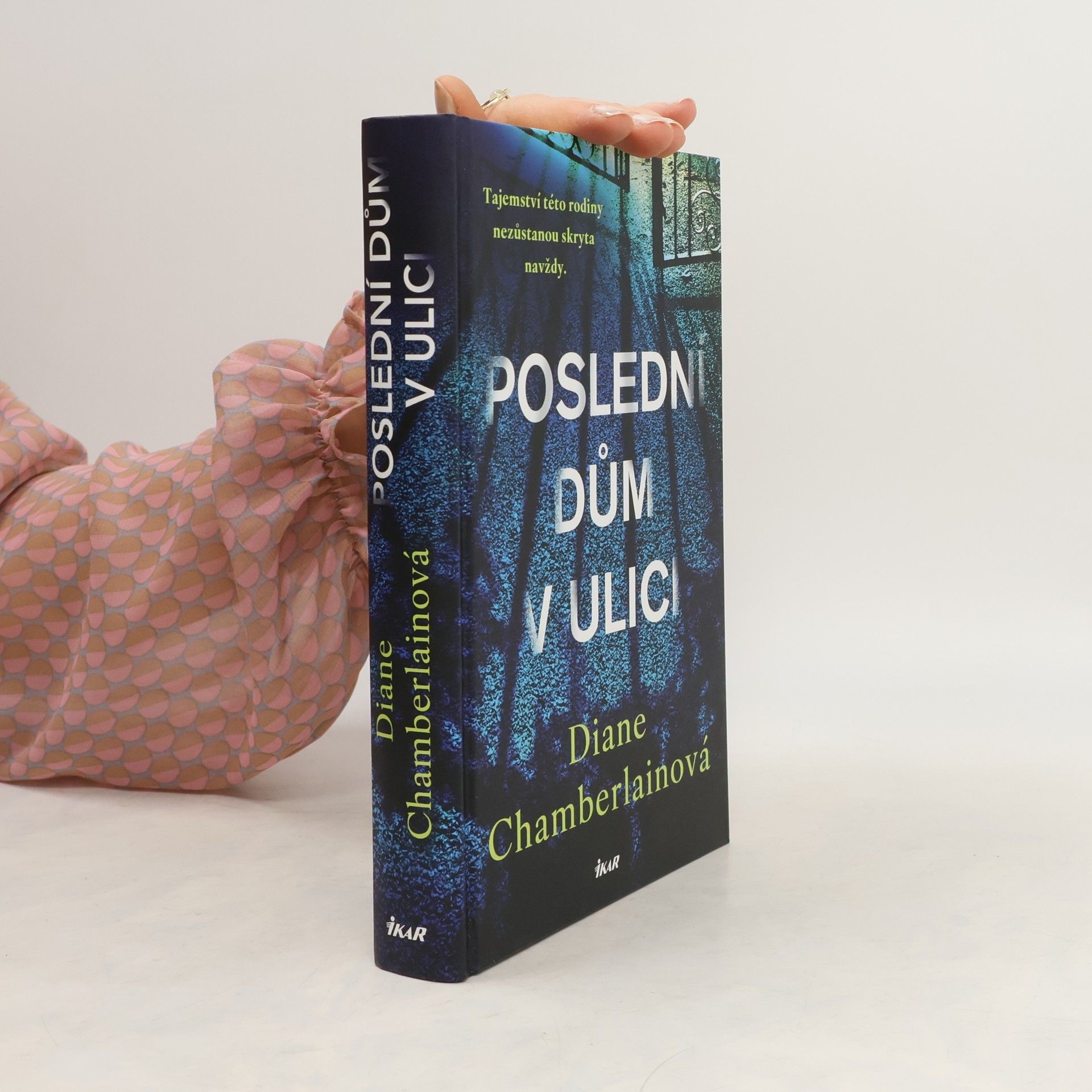 Diane Chamberlain Poslední dům v ulici