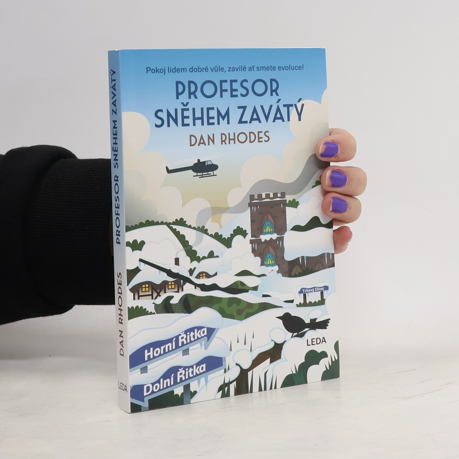 Dan Rhodes Profesor sněhem zavátý
