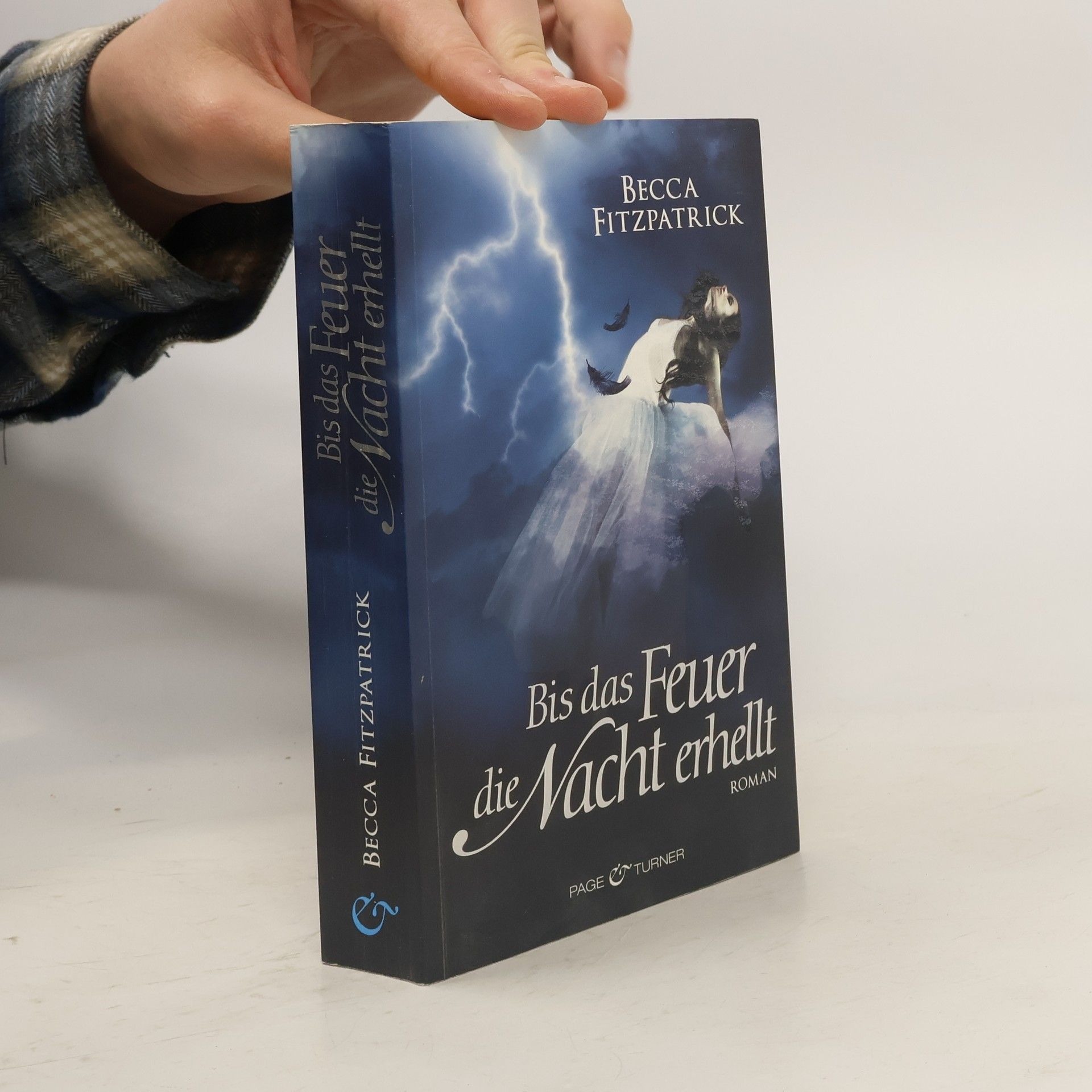 Becca Fitzpatrick Bis das Feuer die Nacht erhellt