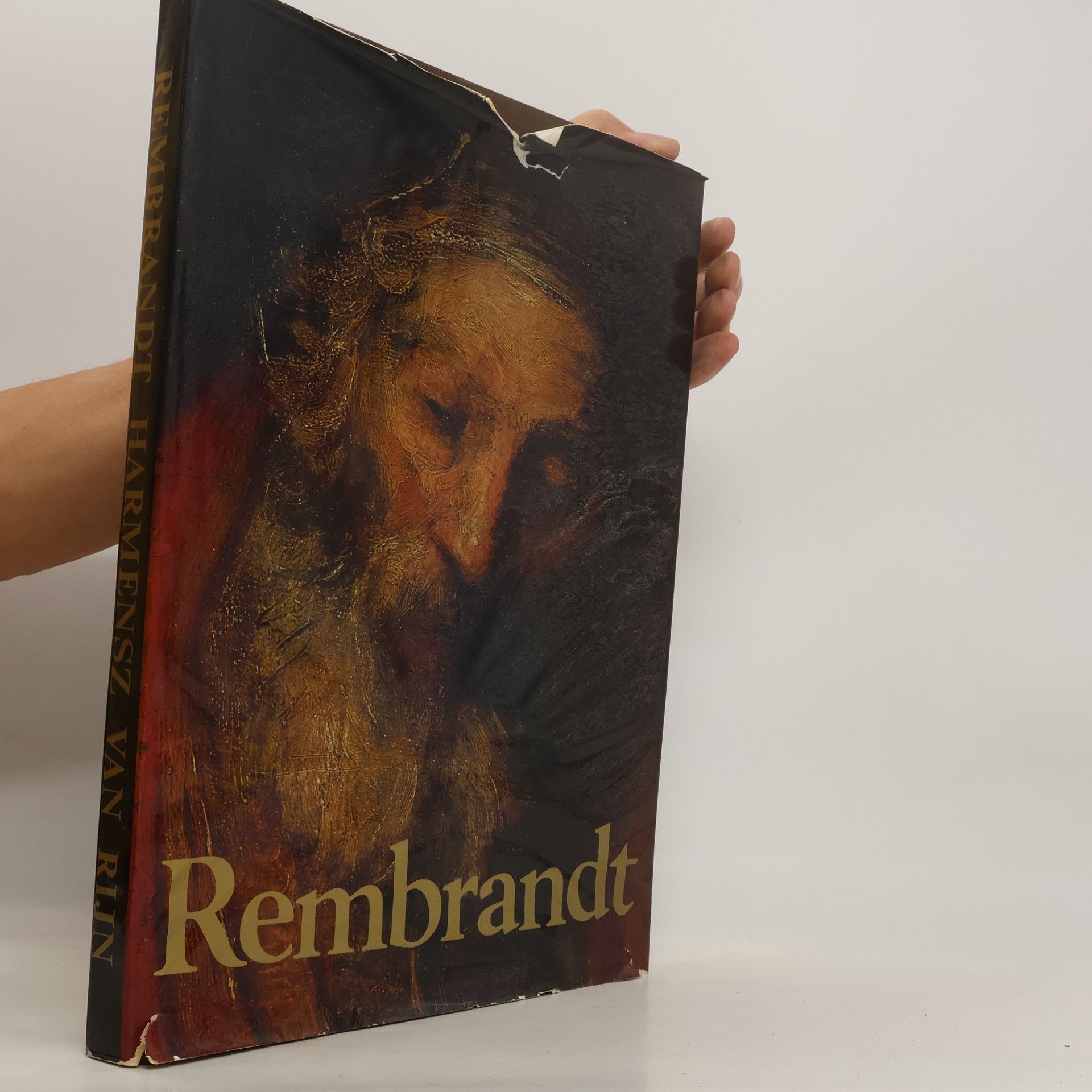 Harmensz van Rijn Rembrandt Paintings from Soviet Museums
