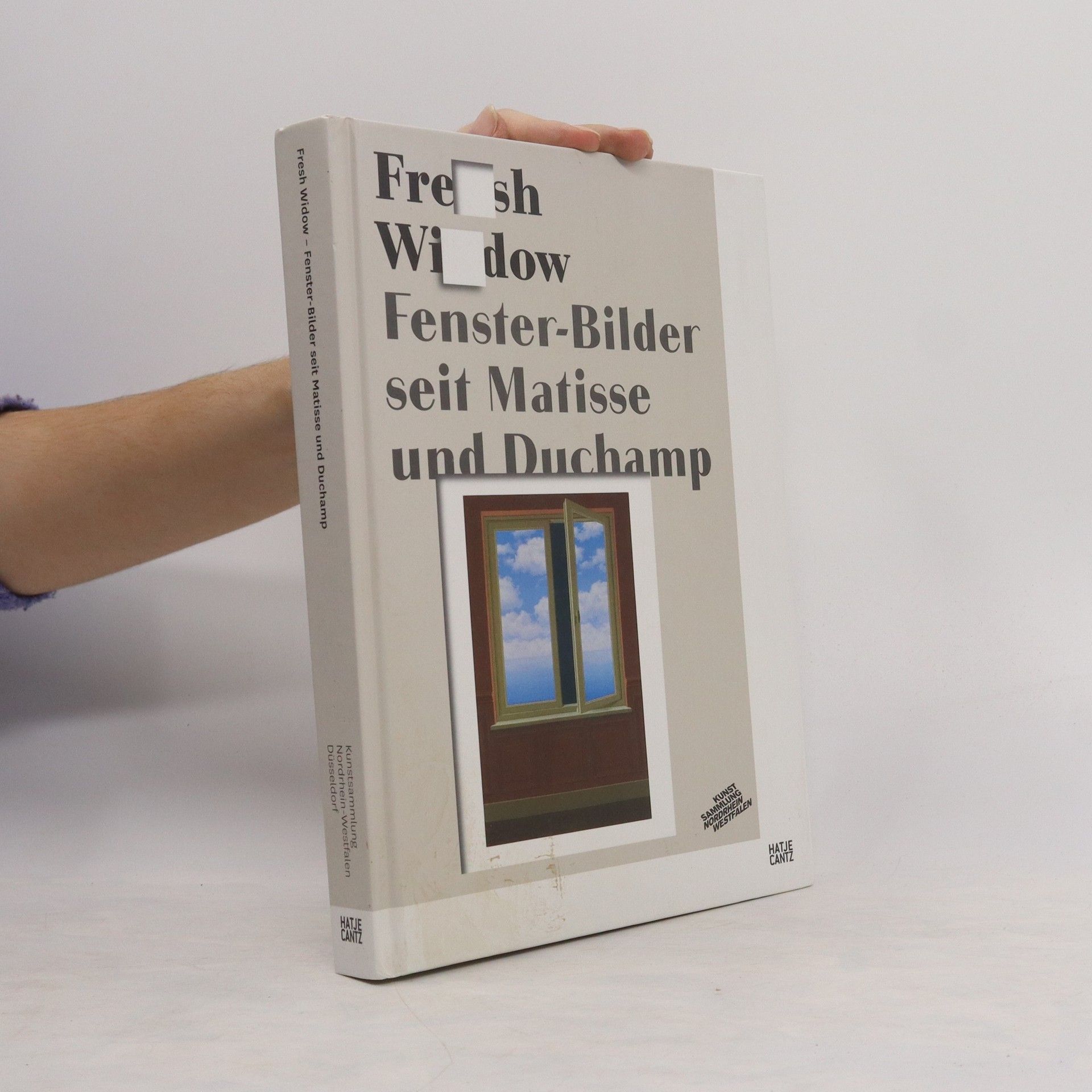 kolektiv Fresh Widow. Fenster-Bilder seit Matisse und Duchamp