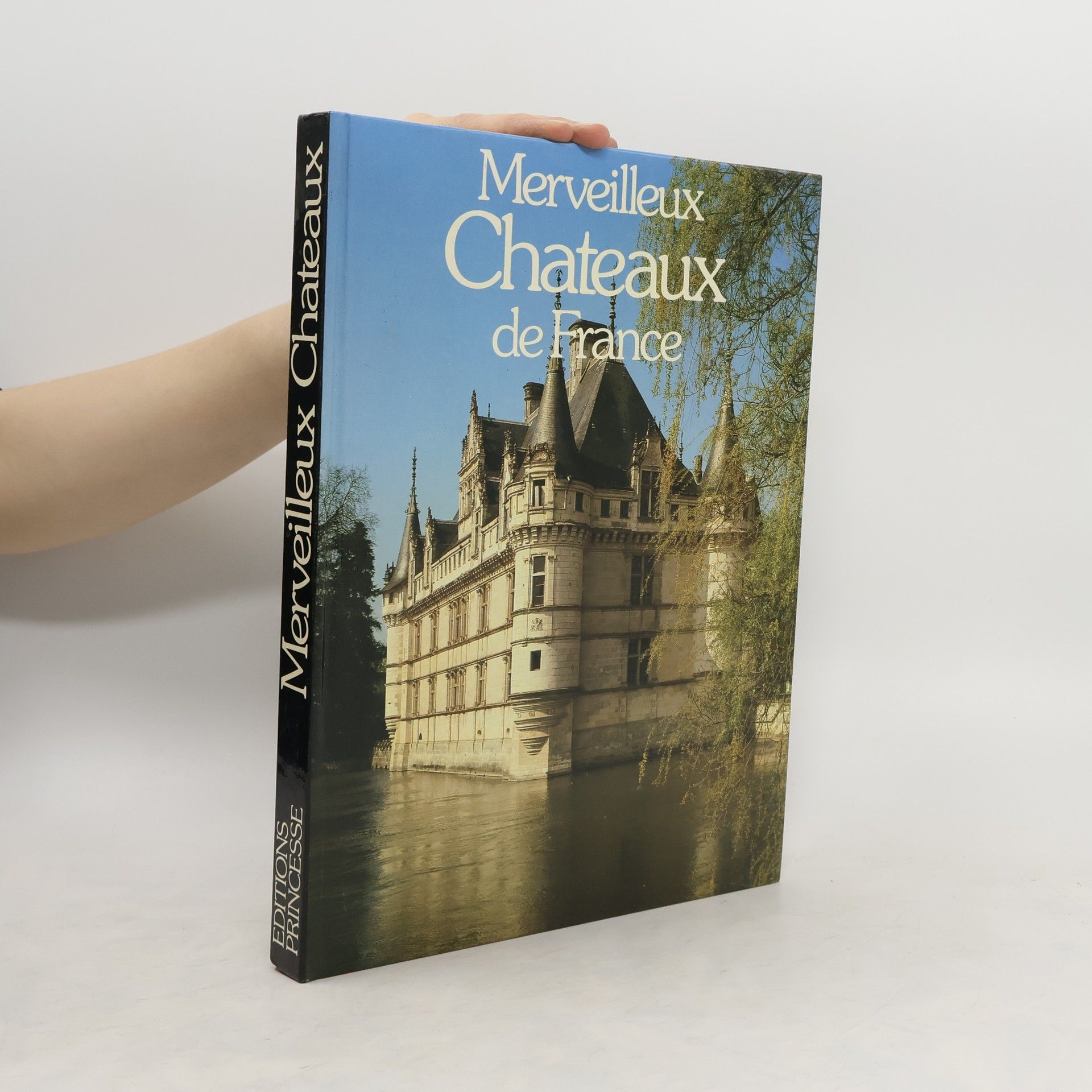 Collectif d'auteurs Merveilleux châteaux de France