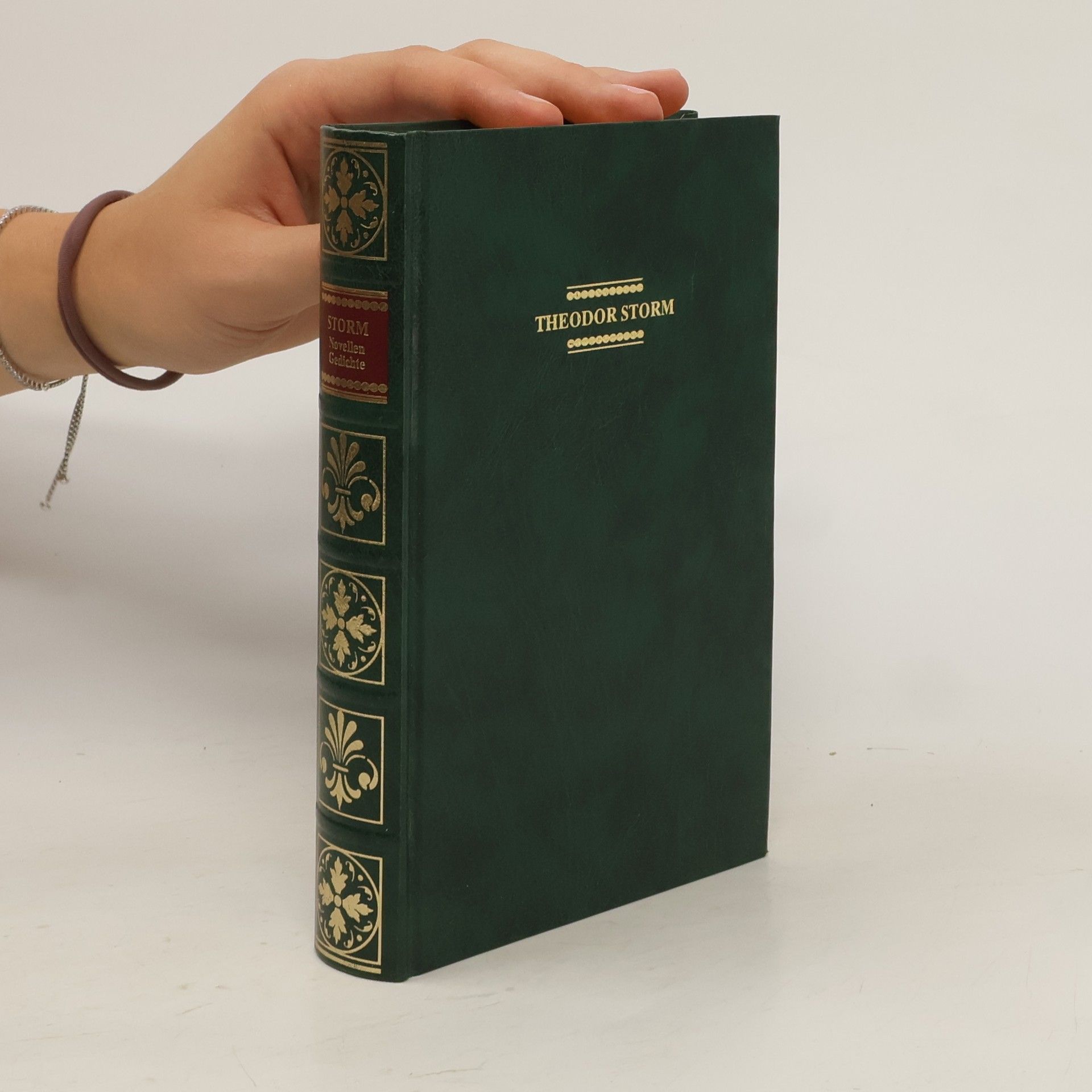 Theodor Storm Novellen, Gedichte