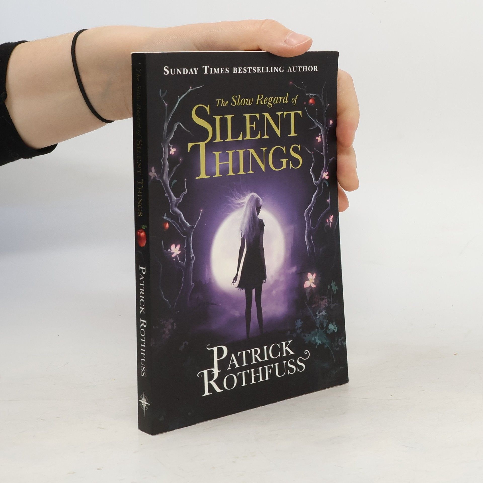 Patrick Rothfuss The Slow Regard of Silent Things