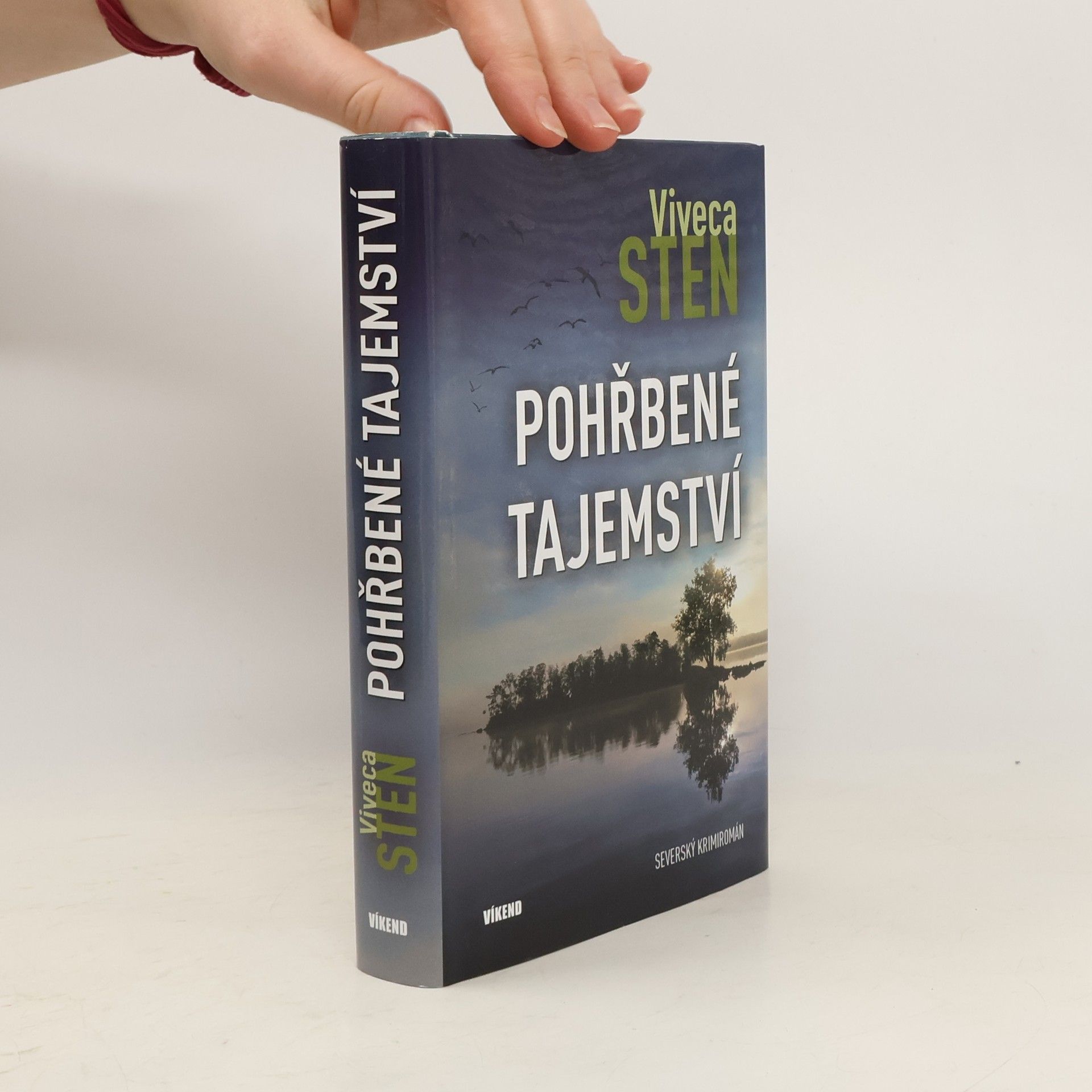 Viveca Stenová Pohřbené tajemství