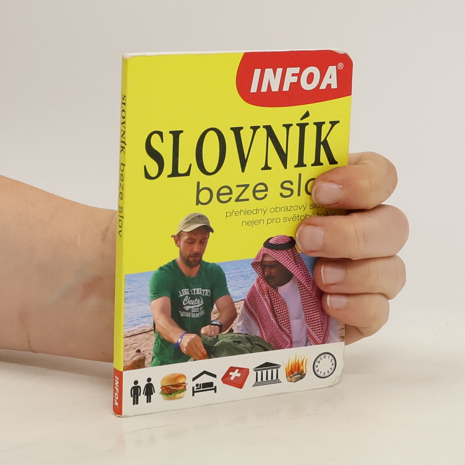 Kolektiv autorů Slovník beze slov: přehledný obrazový slovník nejen pro světoběžníky