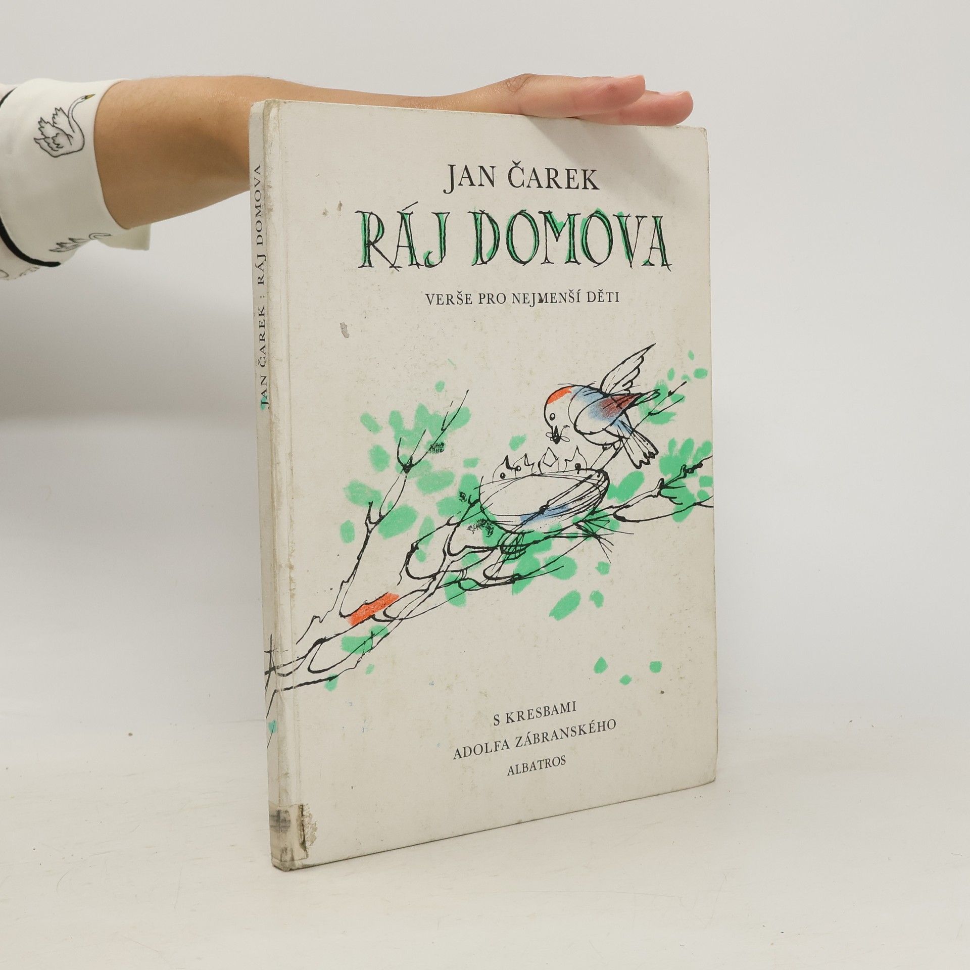 Jan Čarek Ráj domova