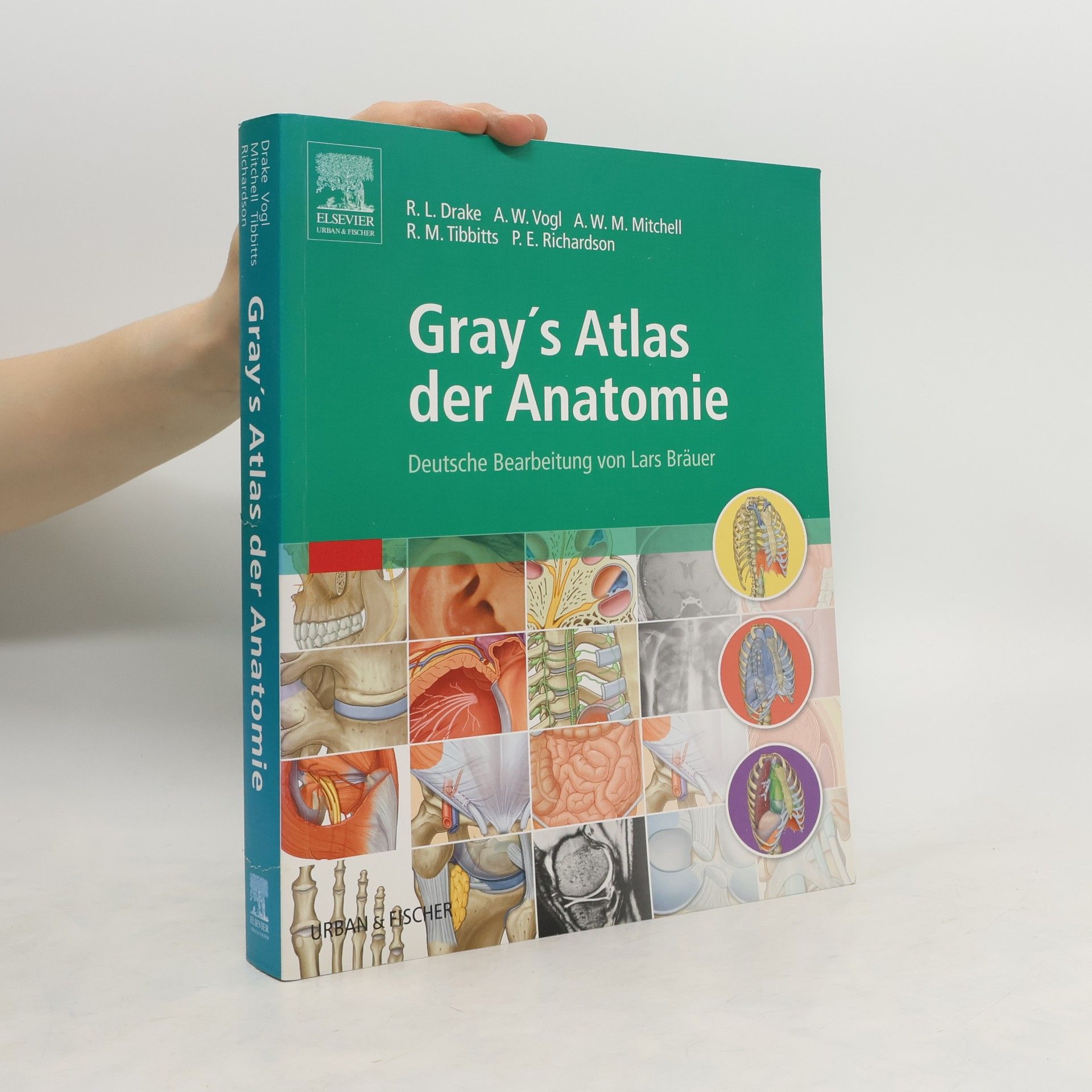Richard L. Drake Gray's Atlas der Anatomie