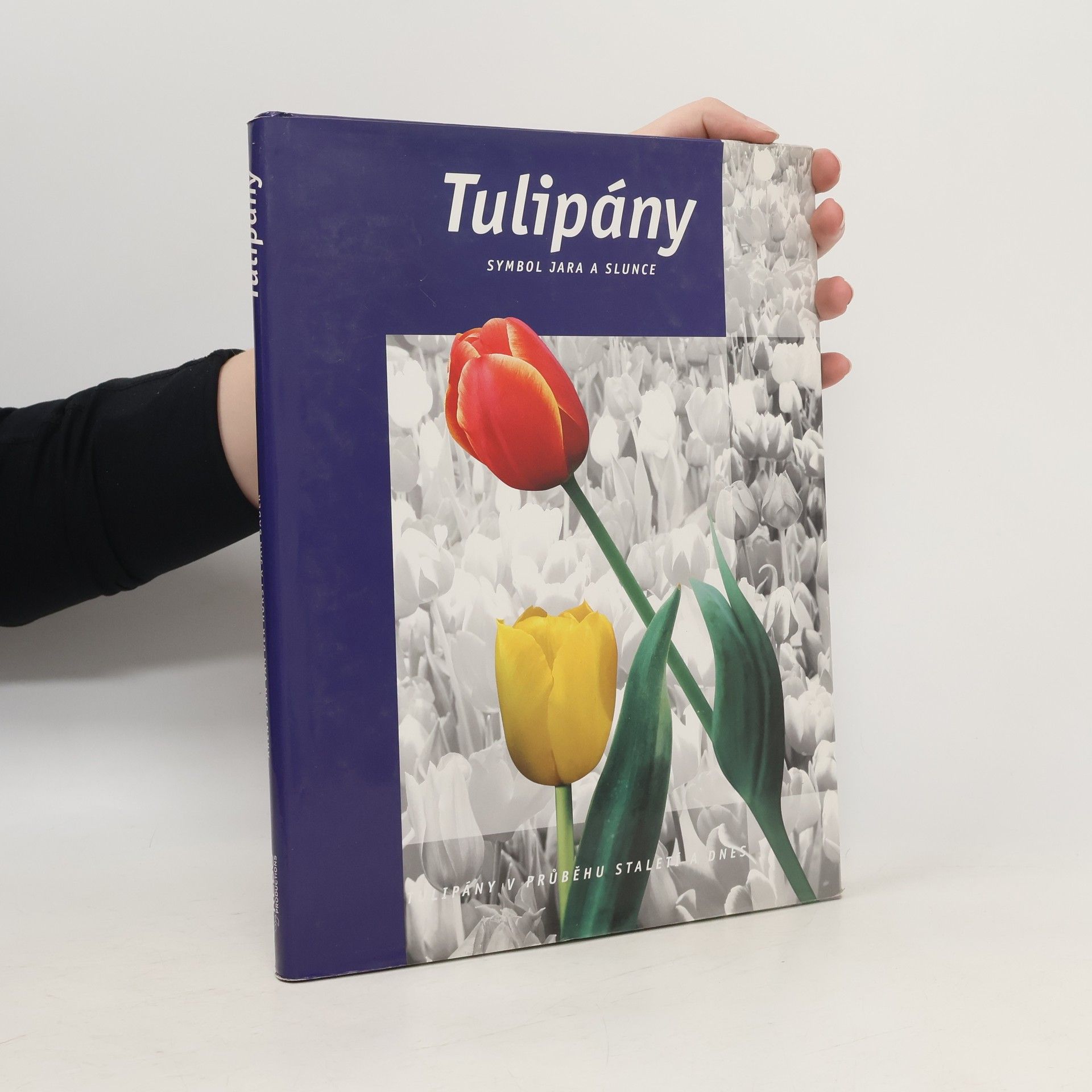 Arend Jan van der Horst Tulipány