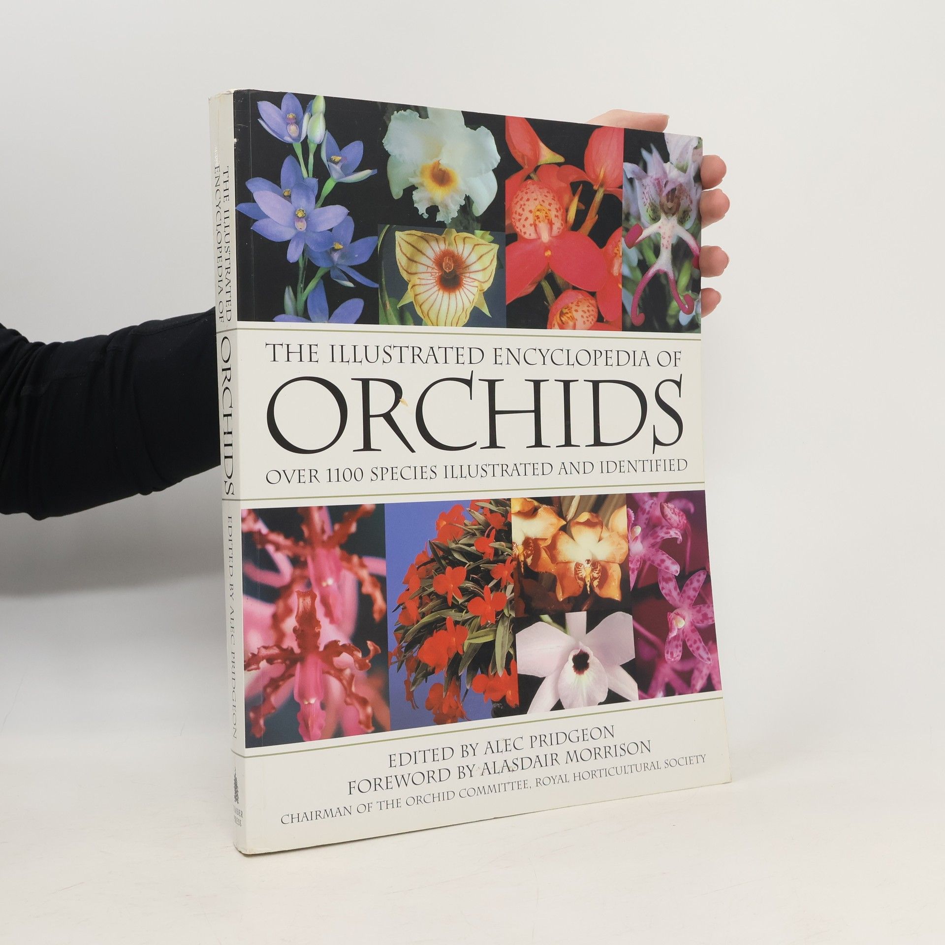 Alec M. Pridgeon The Illustrated Encyclopedia of Orchids