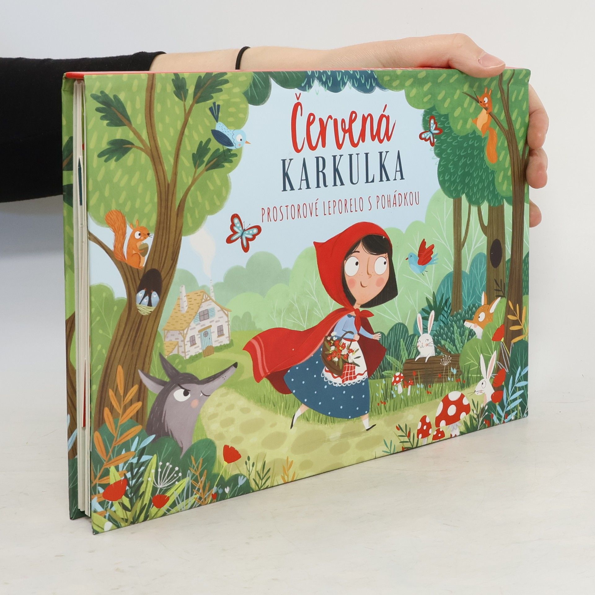 Autorenkollektiv Červená Karkulka