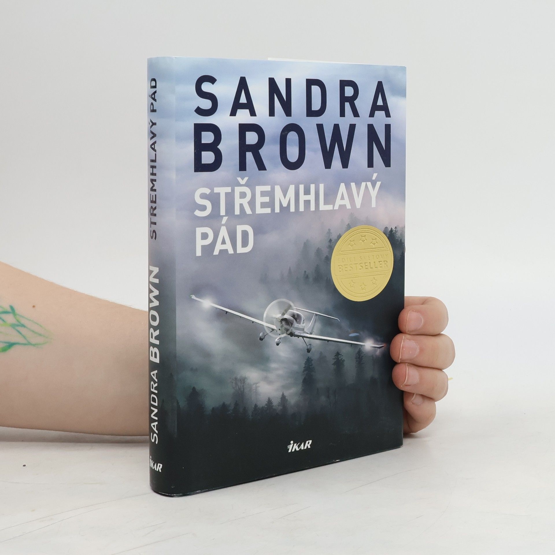 Sandra Brown Střemhlavý pád