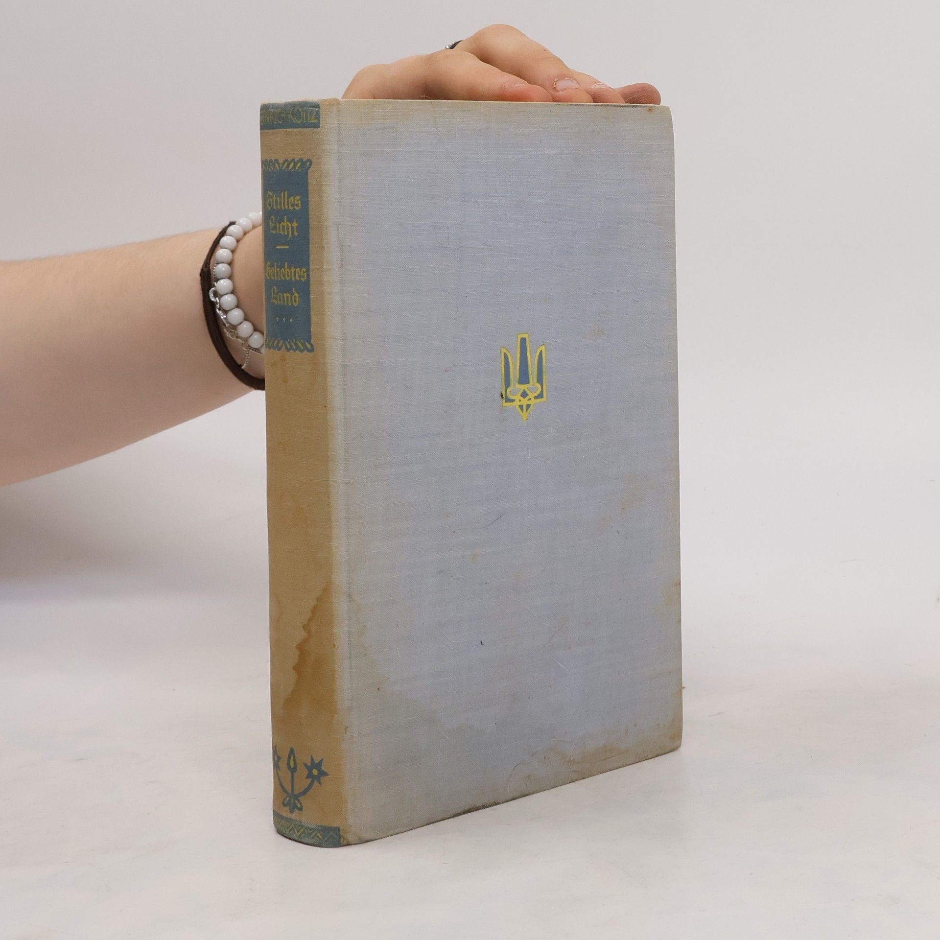 Heinrich Koitz Stilles Licht - Geliebtes Land