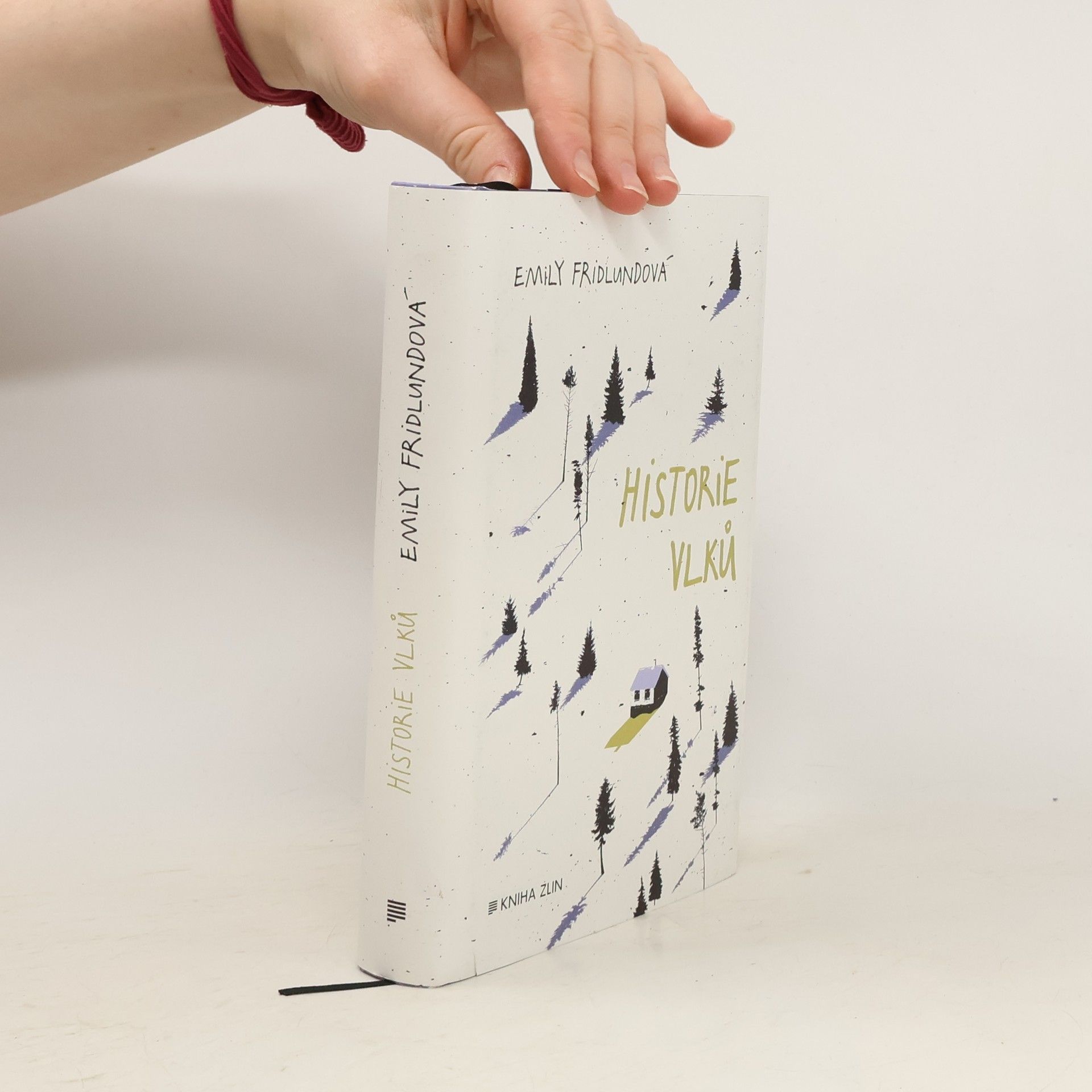 Emily Fridlund Historie vlků